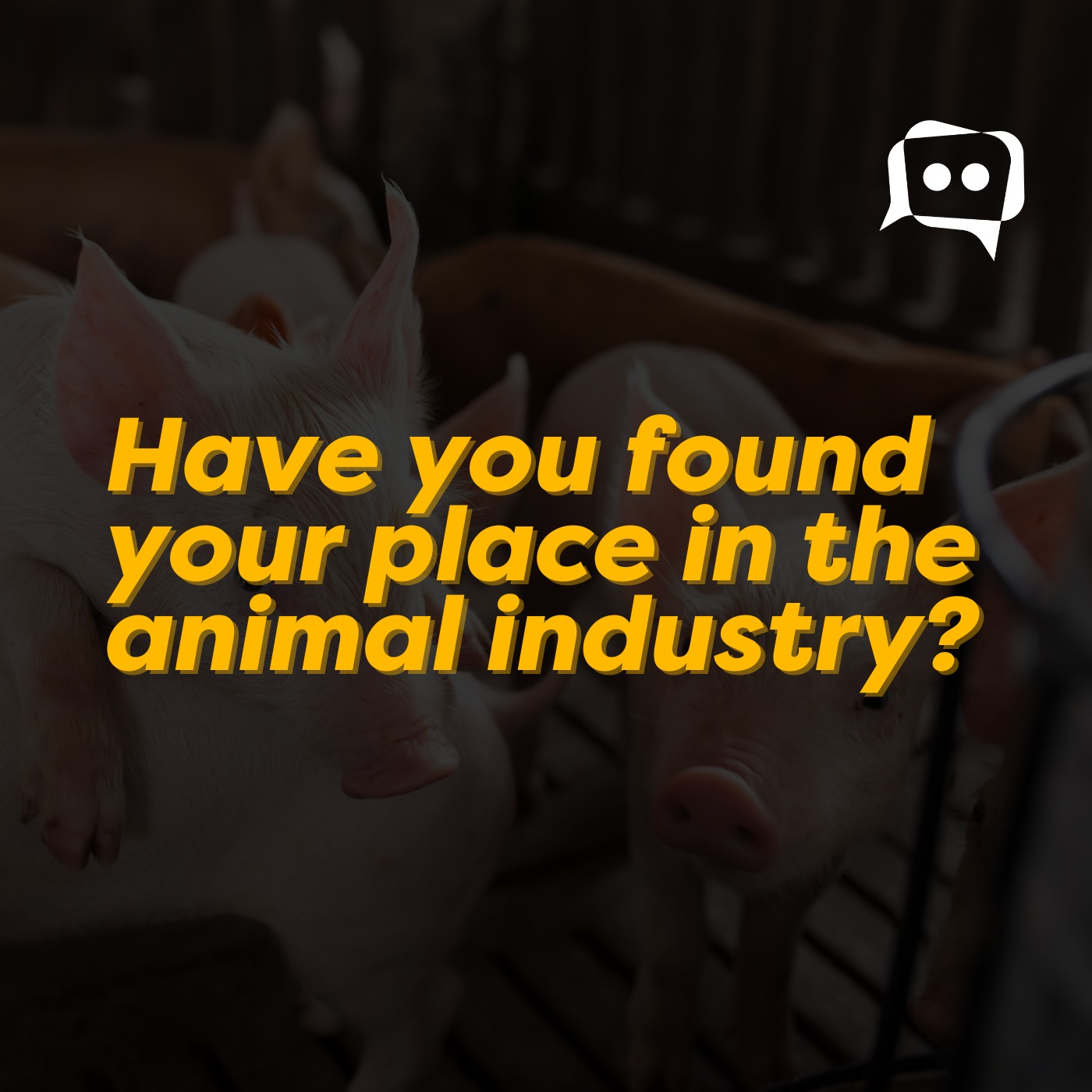 Have you found your place in the animal industry? episode artwork