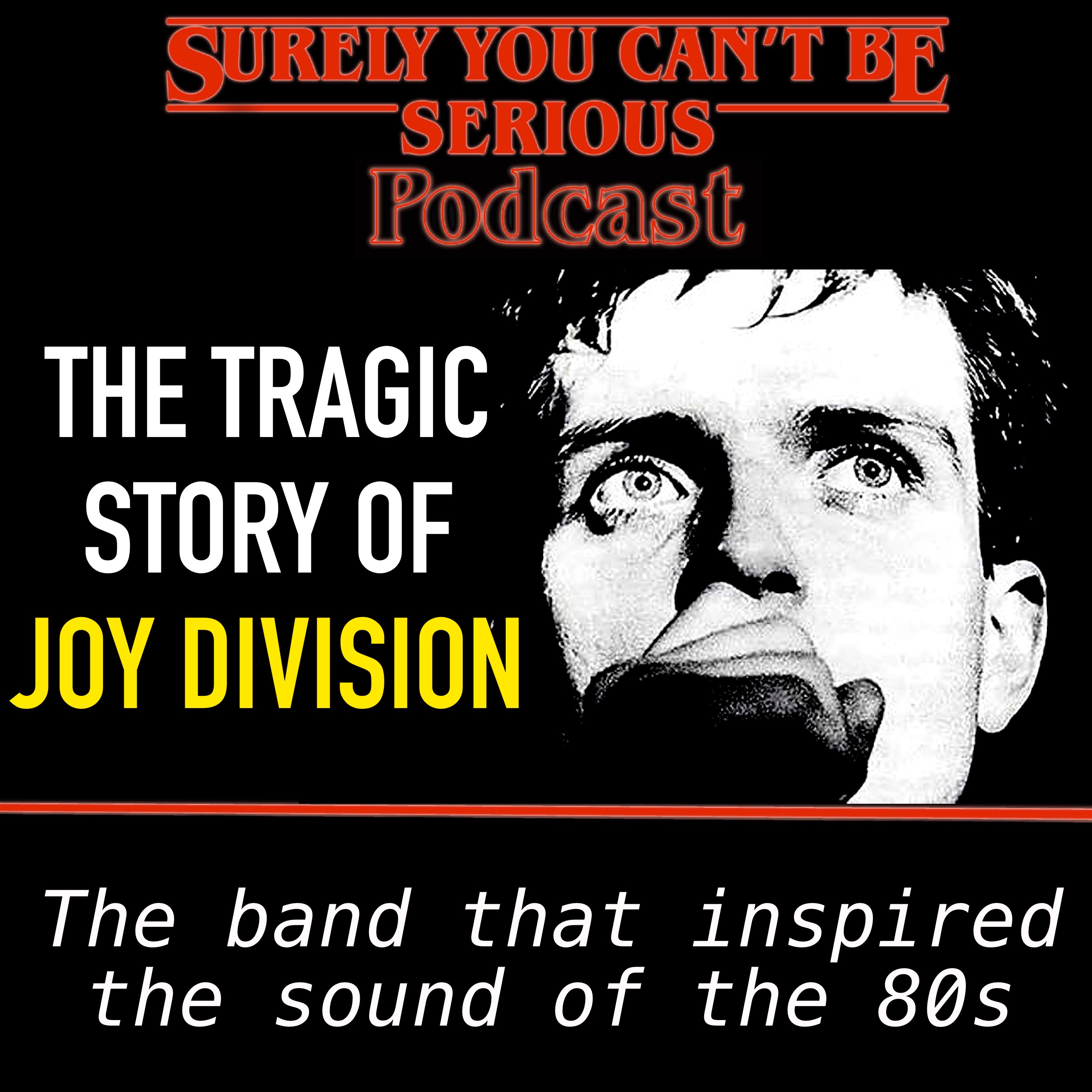 Stranger Things Soundtrack: Season 1 Episode 4: The Tragic Story of Joy Division Image