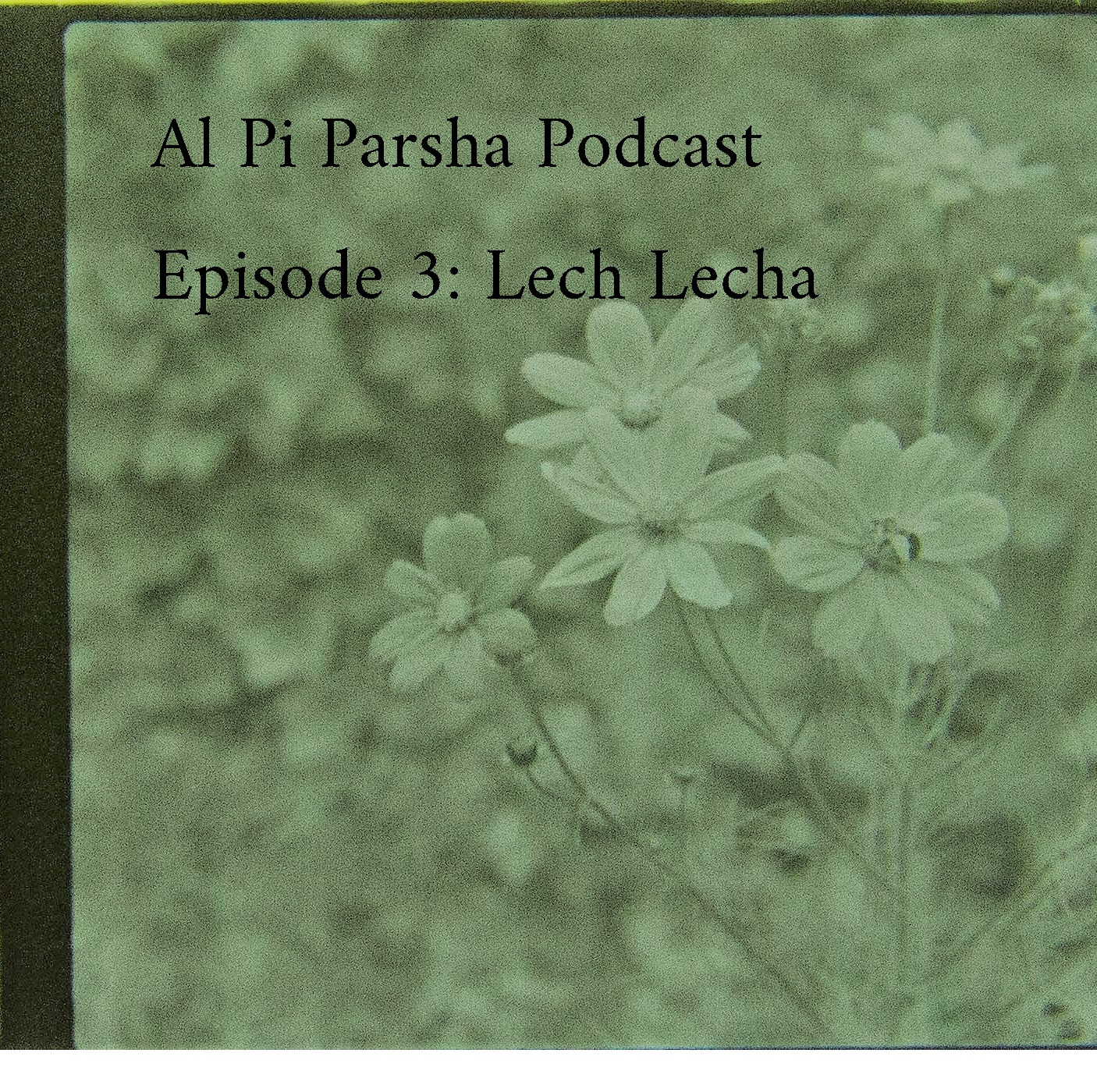 Al Pi Parsha Podcast
