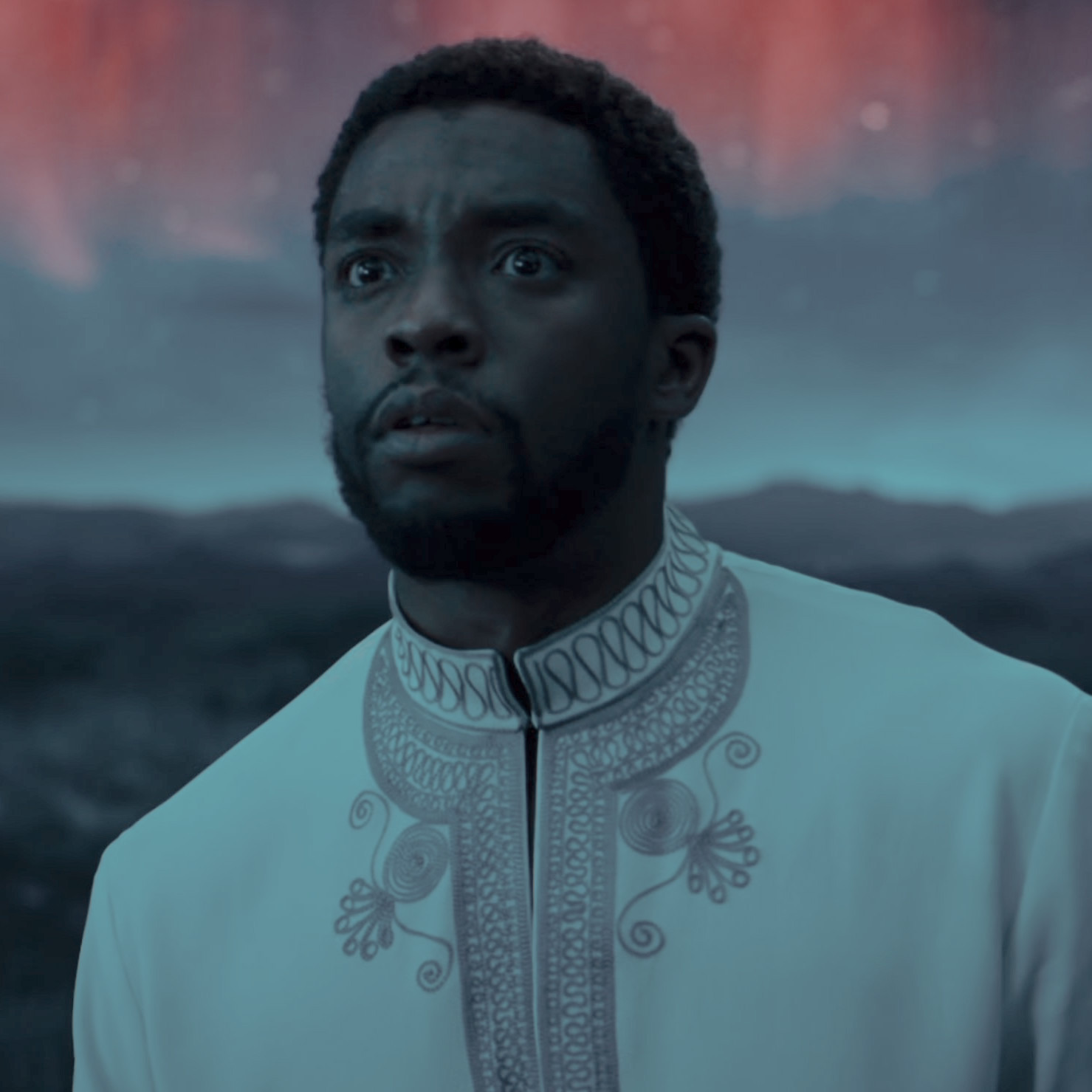 Black Panther; A Tribute