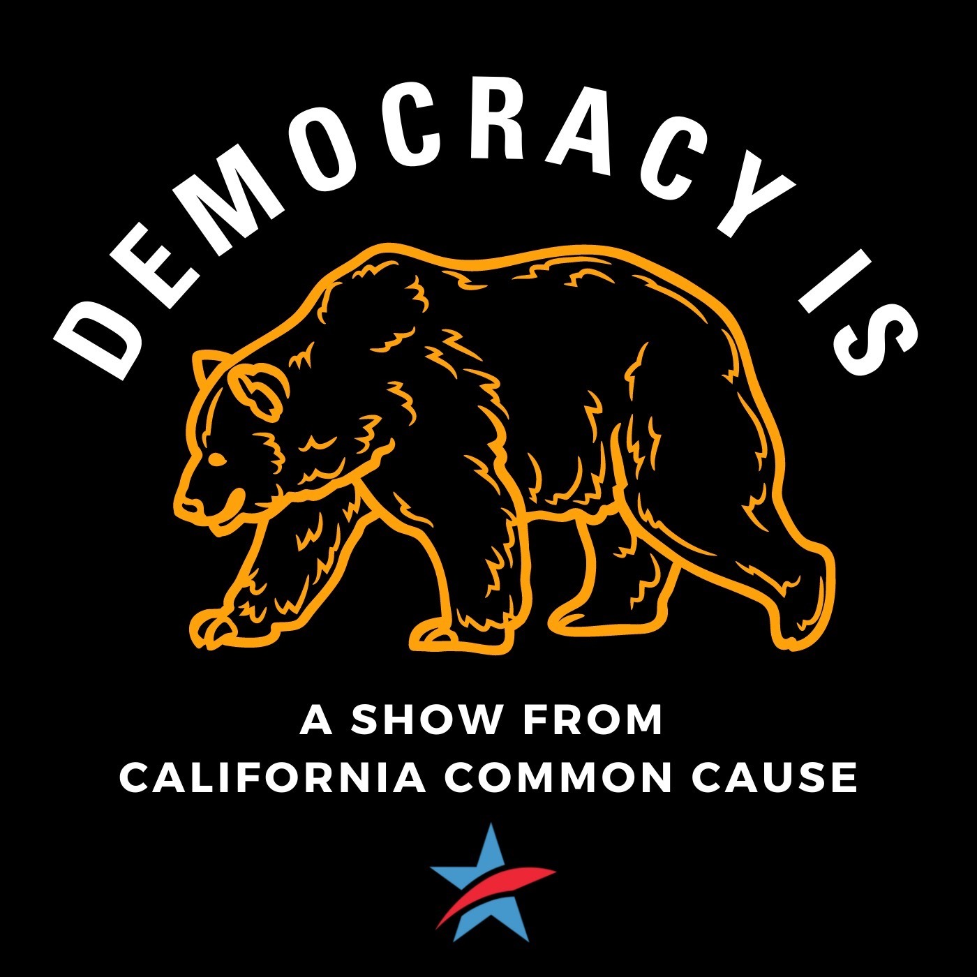 What does Election Season mean to California Common Cause? What does Election Season mean to California Common Cause?