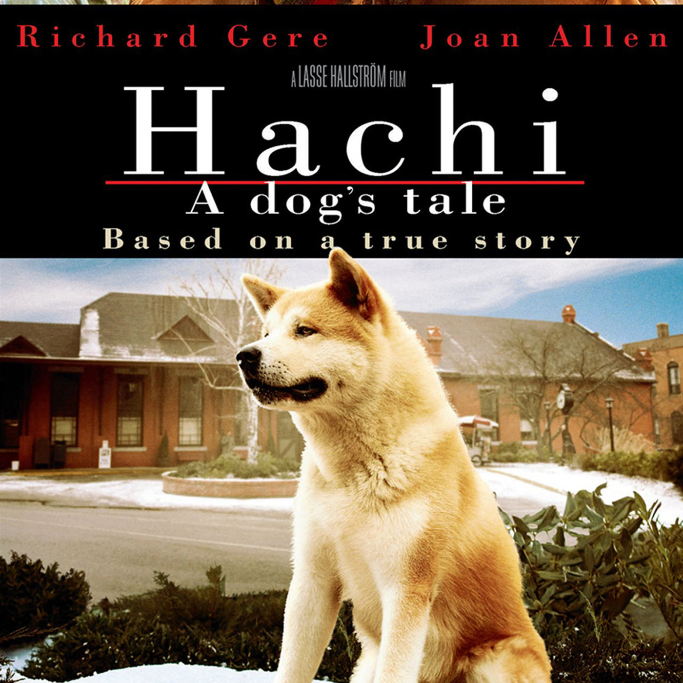 Hachi: A Dog's Tale