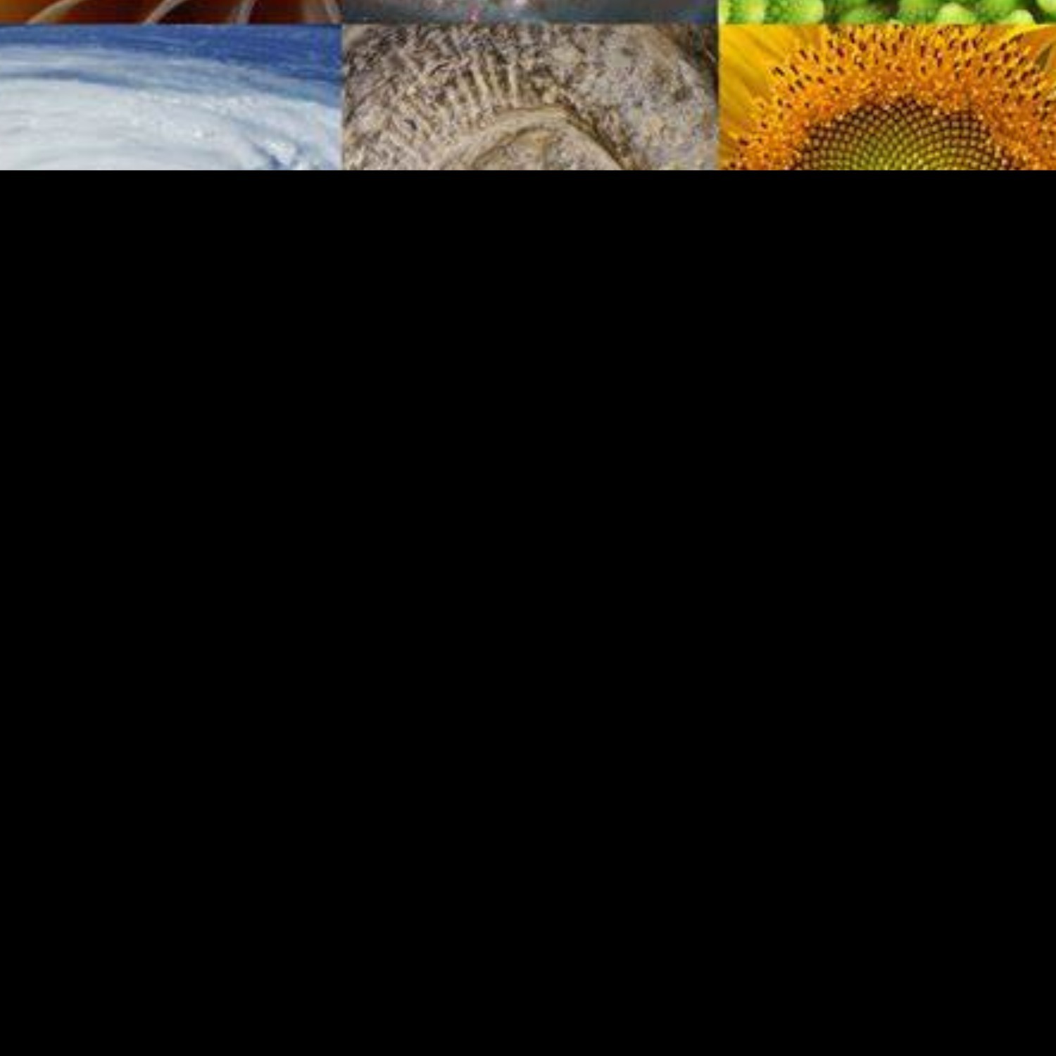 golden ratio (tamil) S5 E1