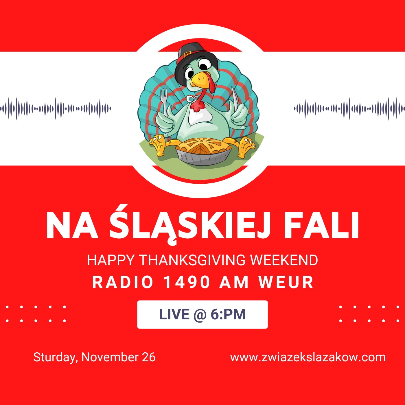 Happy ThanksGiving NSF episode artwork
