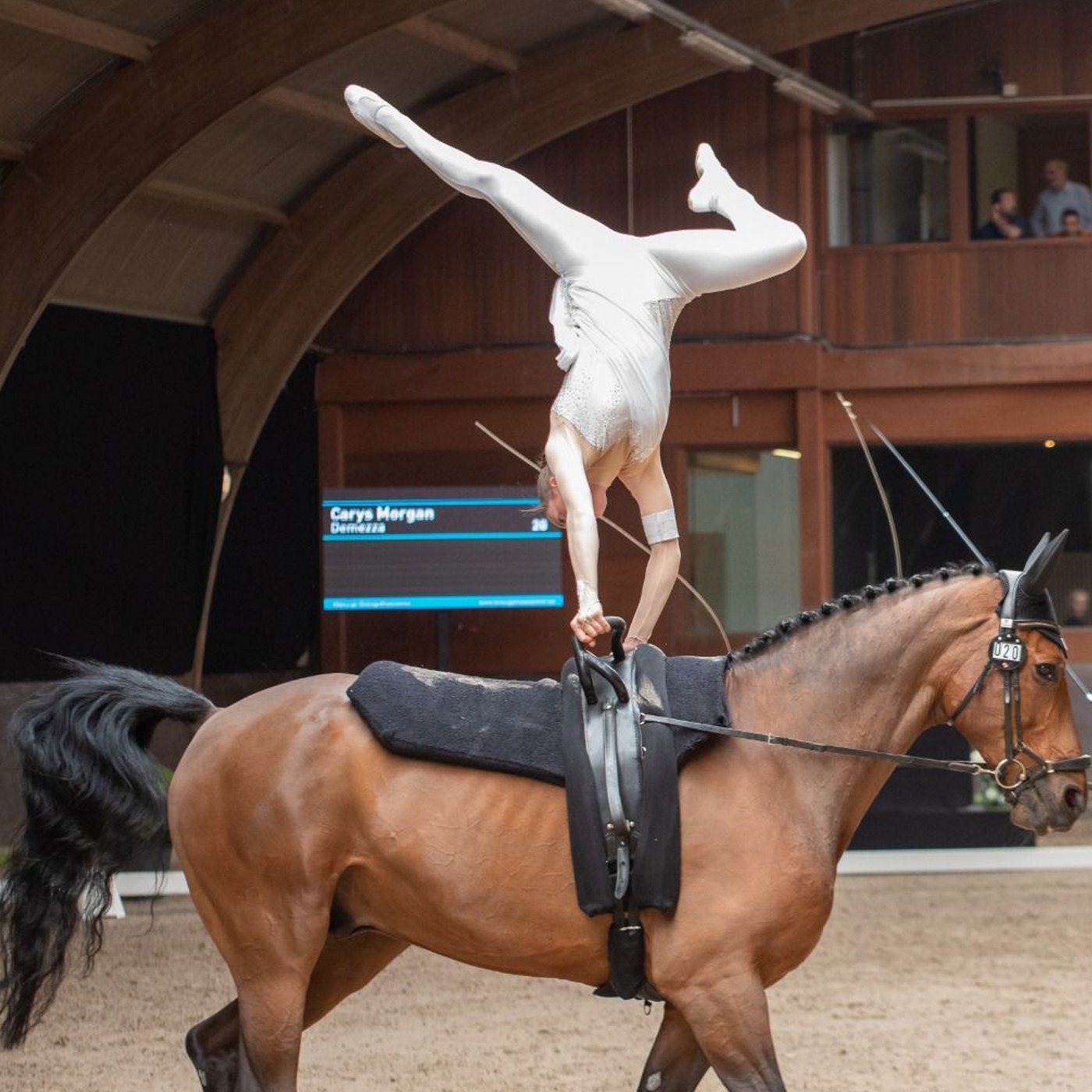 Episode 68 - Horse Gymnastics episode artwork