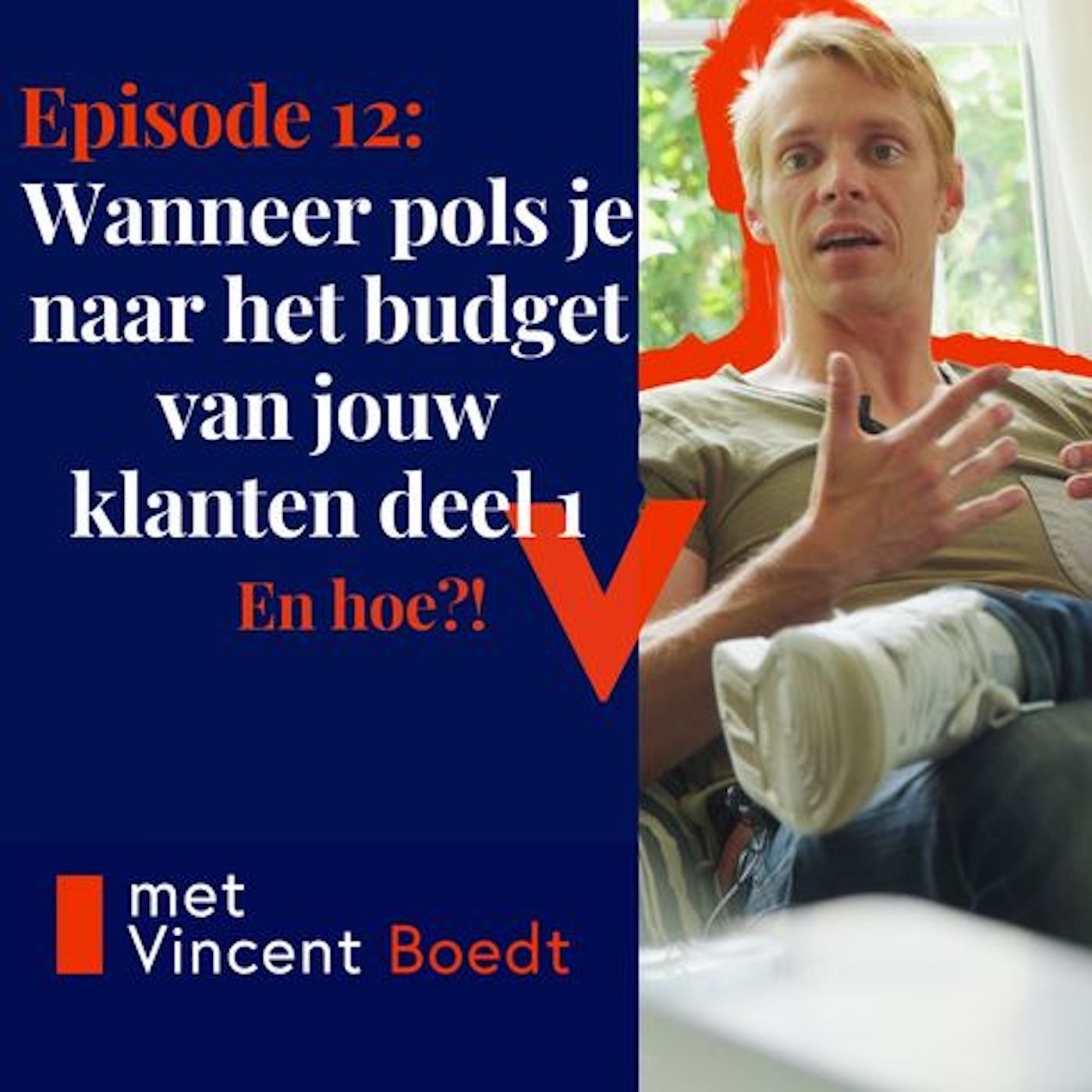 Sales Insights podcast van Vincent Boedt