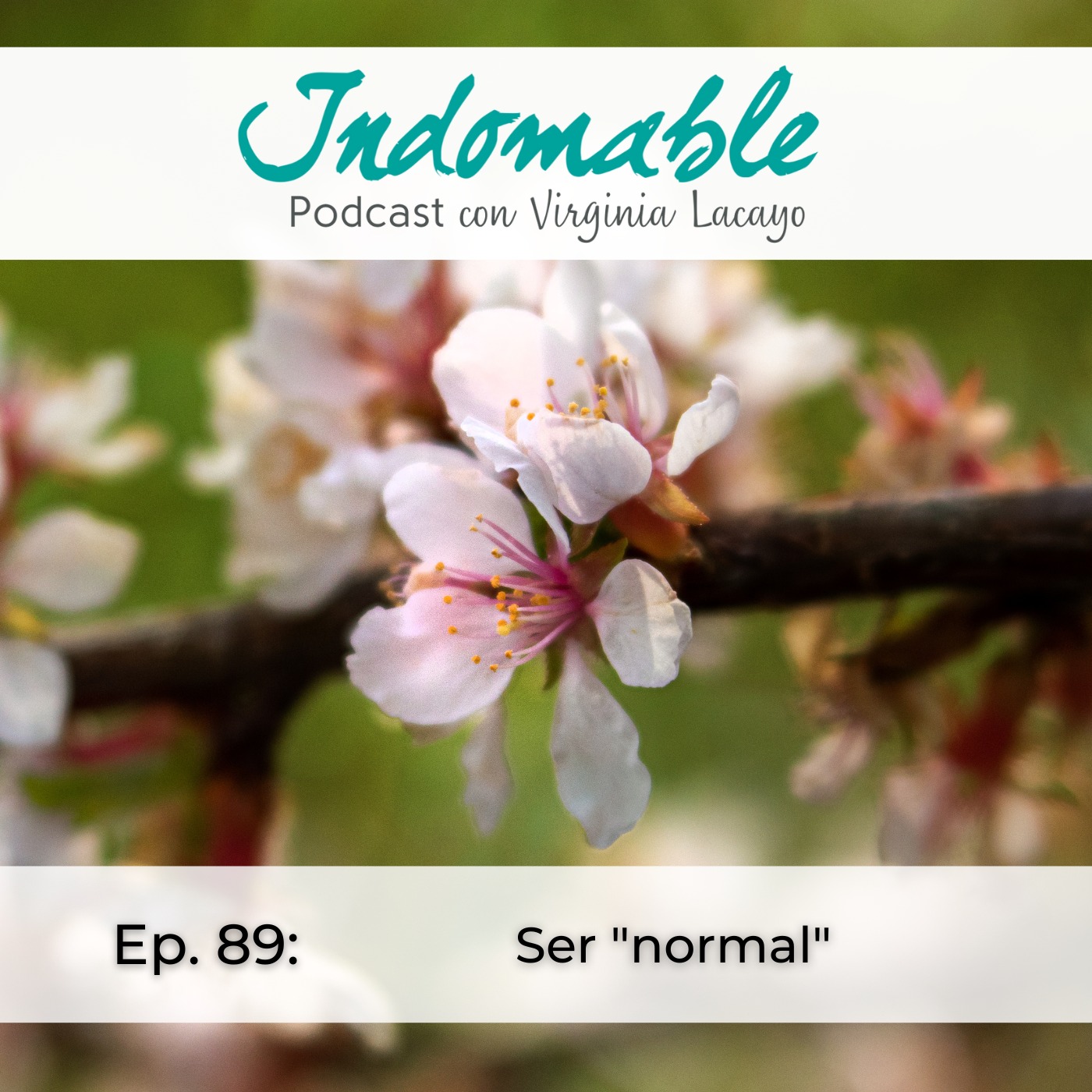 Indomable - Podcast con Virginia Lacayo