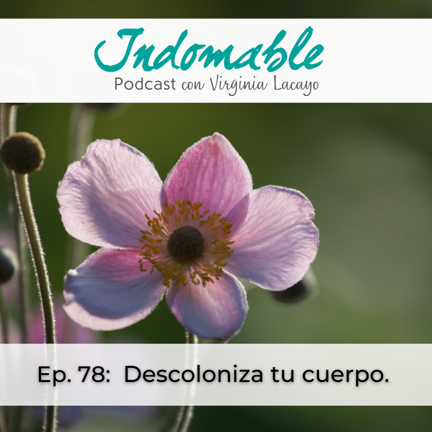 Indomable - Podcast con Virginia Lacayo