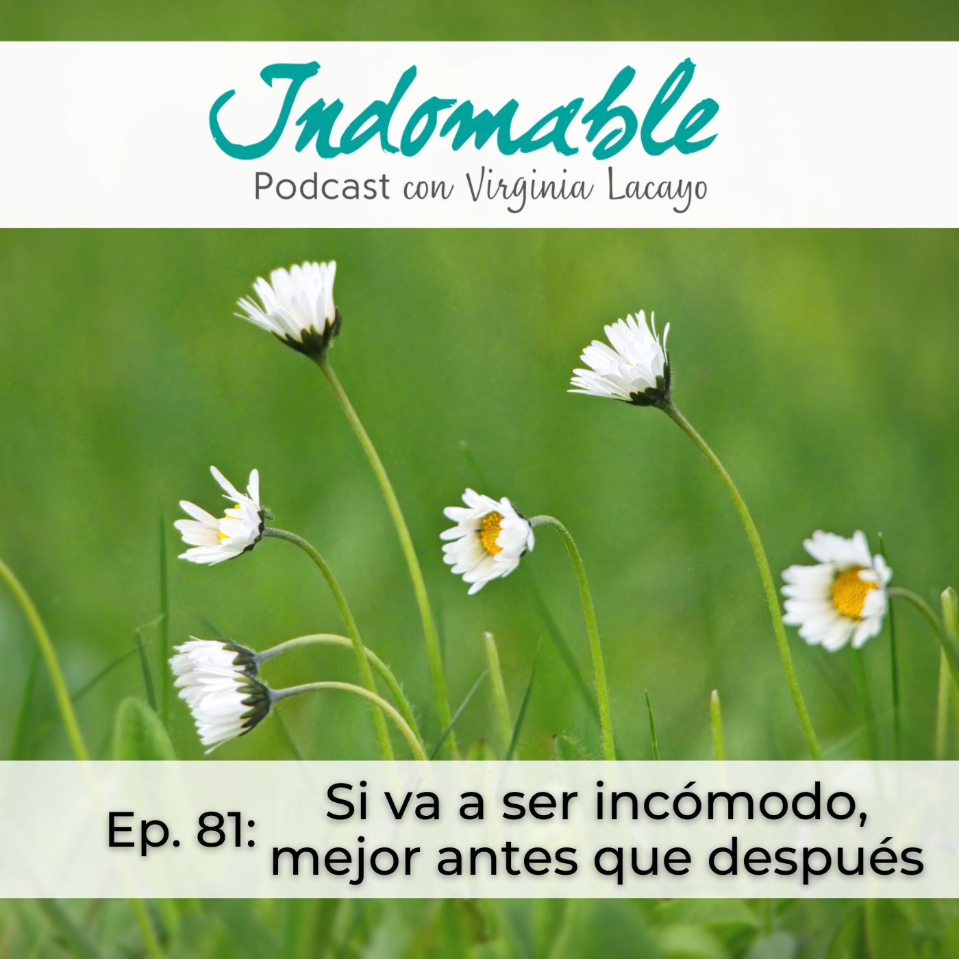 Indomable - Podcast con Virginia Lacayo