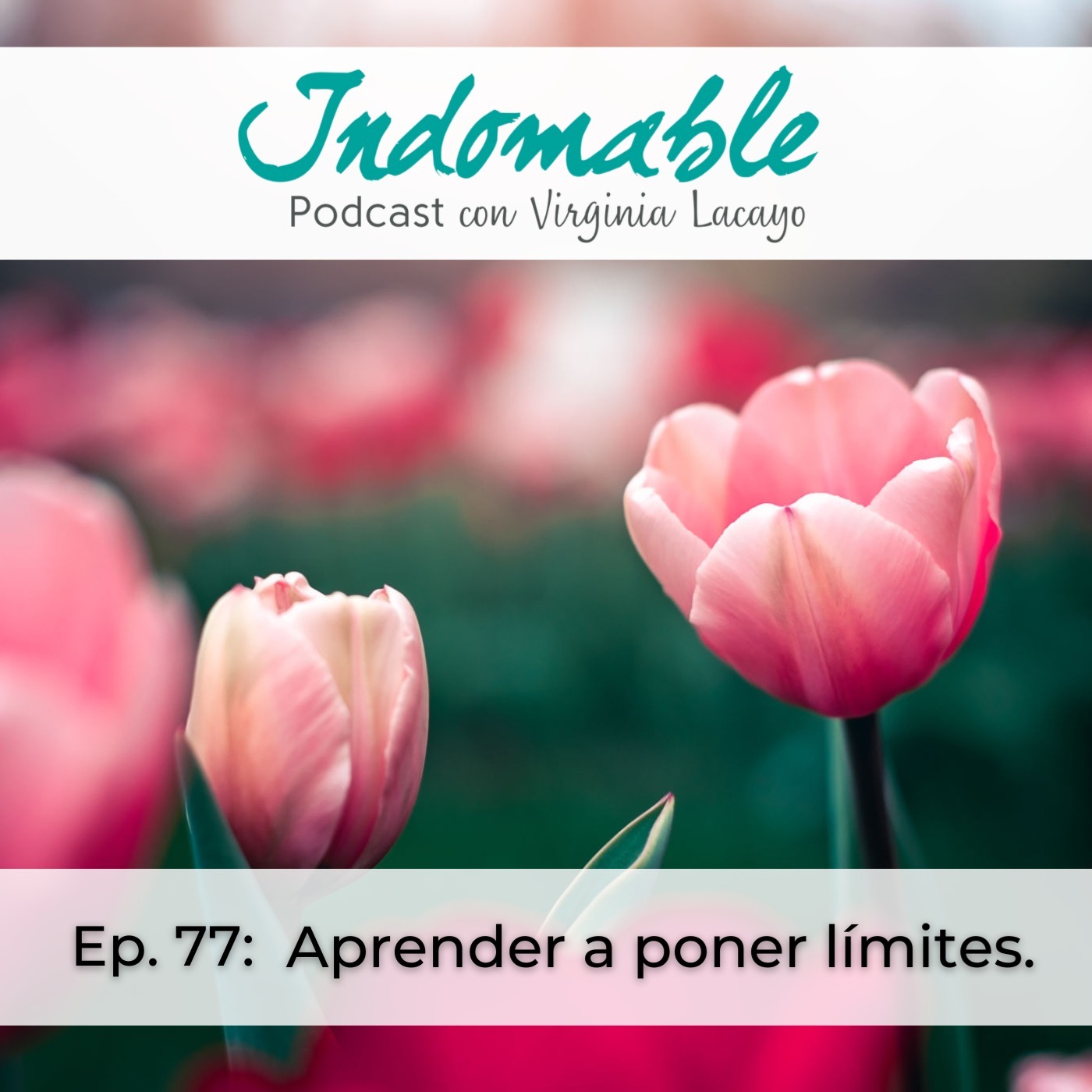 Indomable - Podcast con Virginia Lacayo
