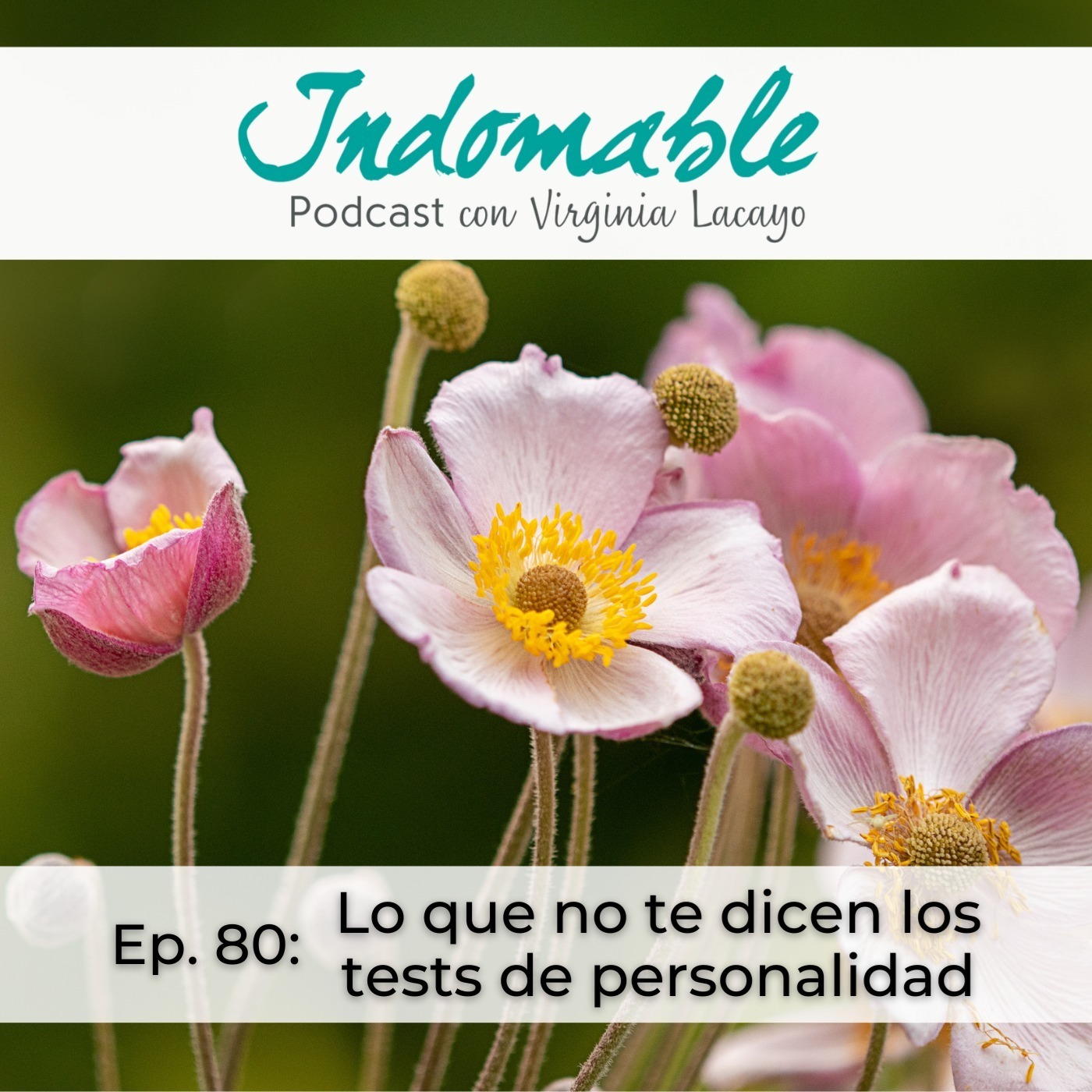 Indomable - Podcast con Virginia Lacayo