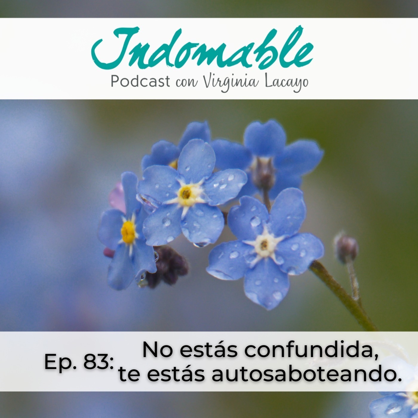 Indomable - Podcast con Virginia Lacayo