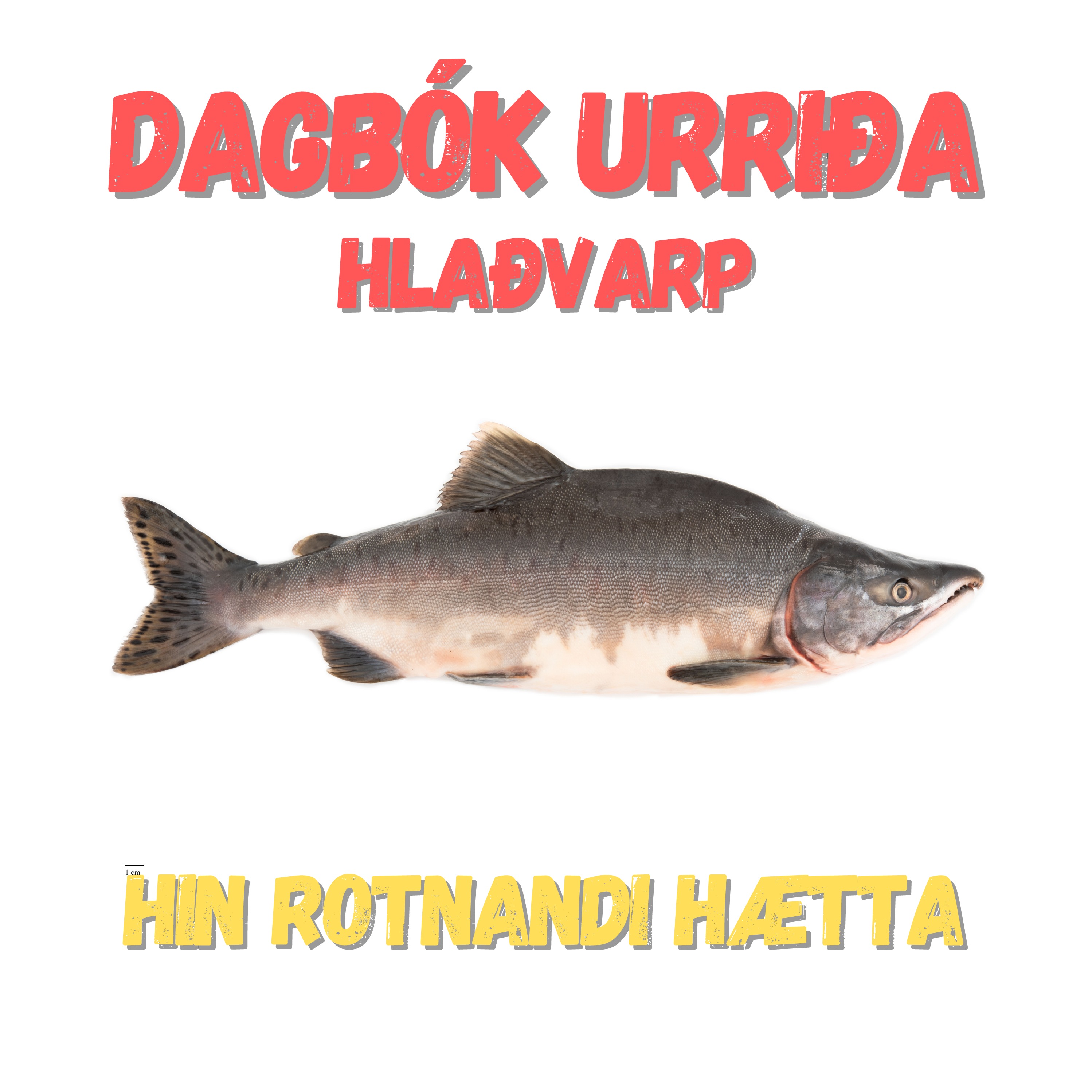 Dagbók Urriða