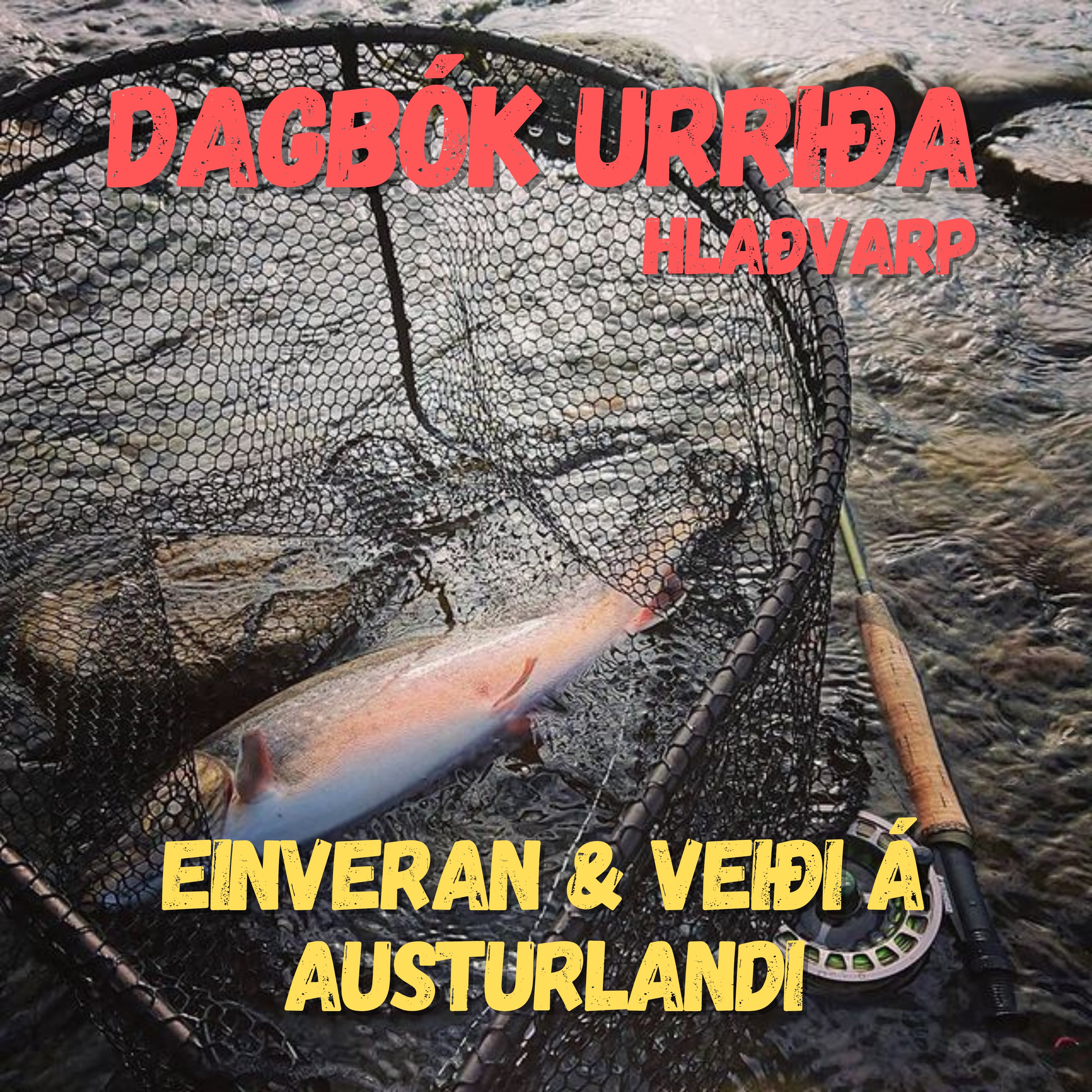 Dagbók urriða - Truflaðir veiðimenn - Áskrift.