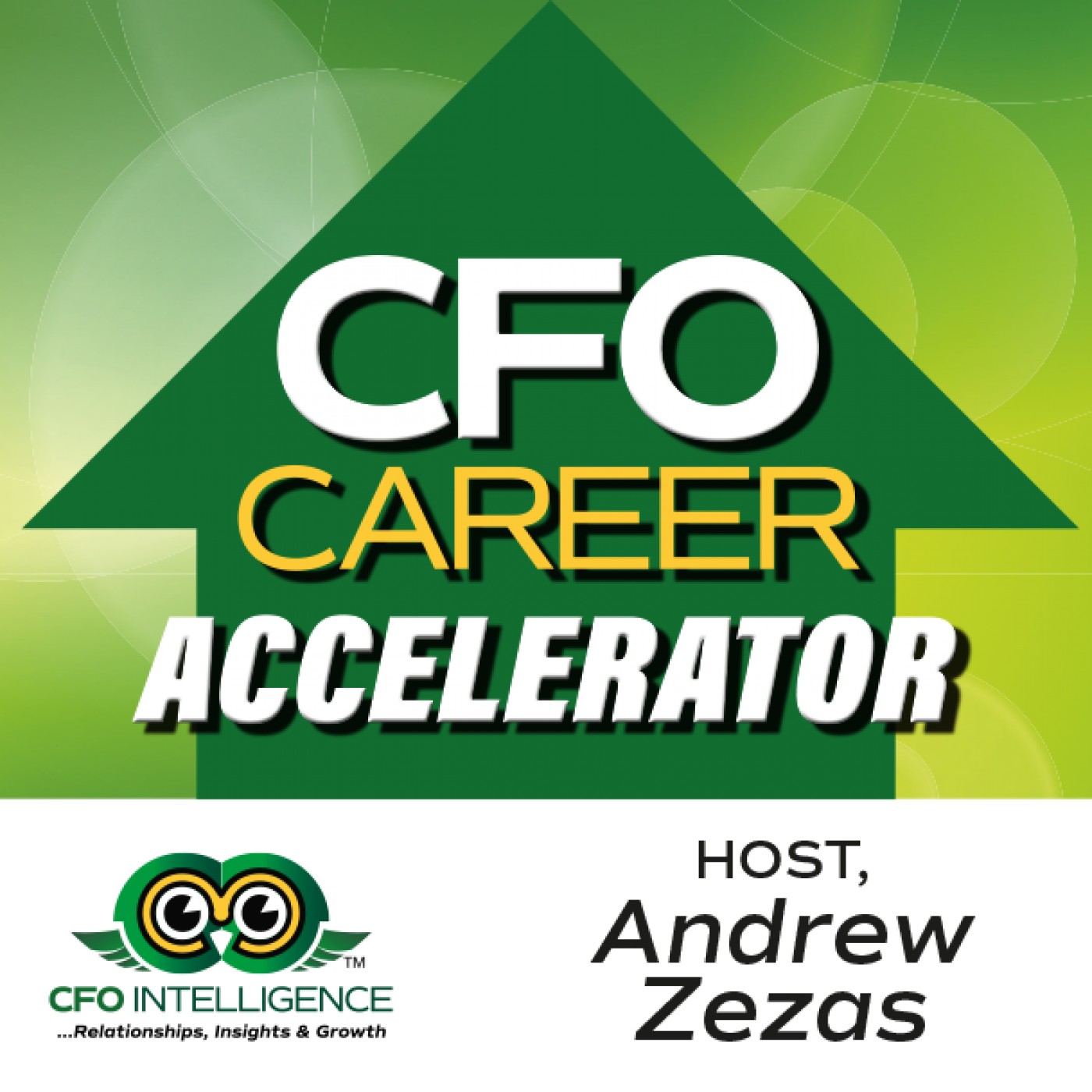 CFO Career Accelerator - Episode #12 The Hierarchy of Intelligent Networking