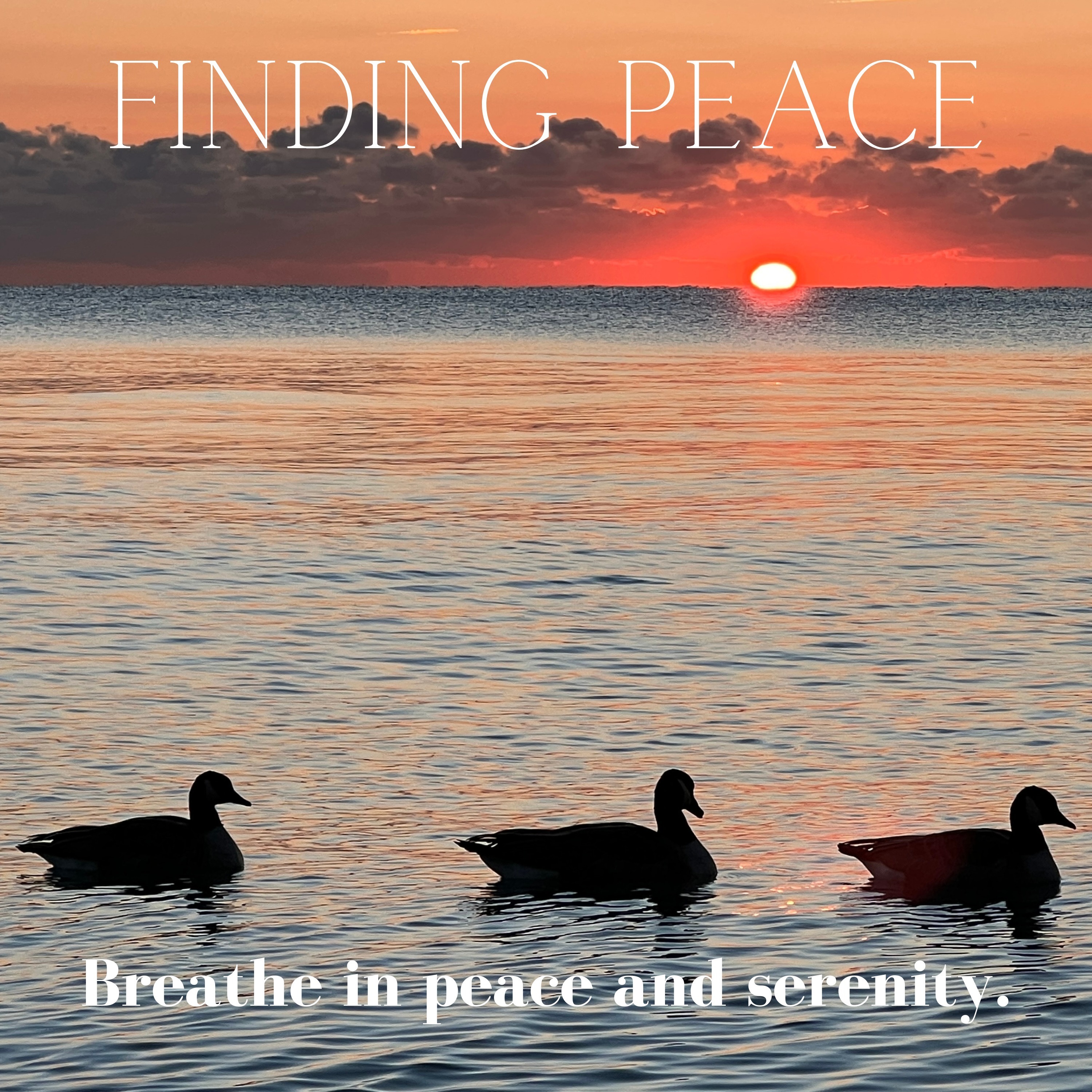 Finding Joy In Living