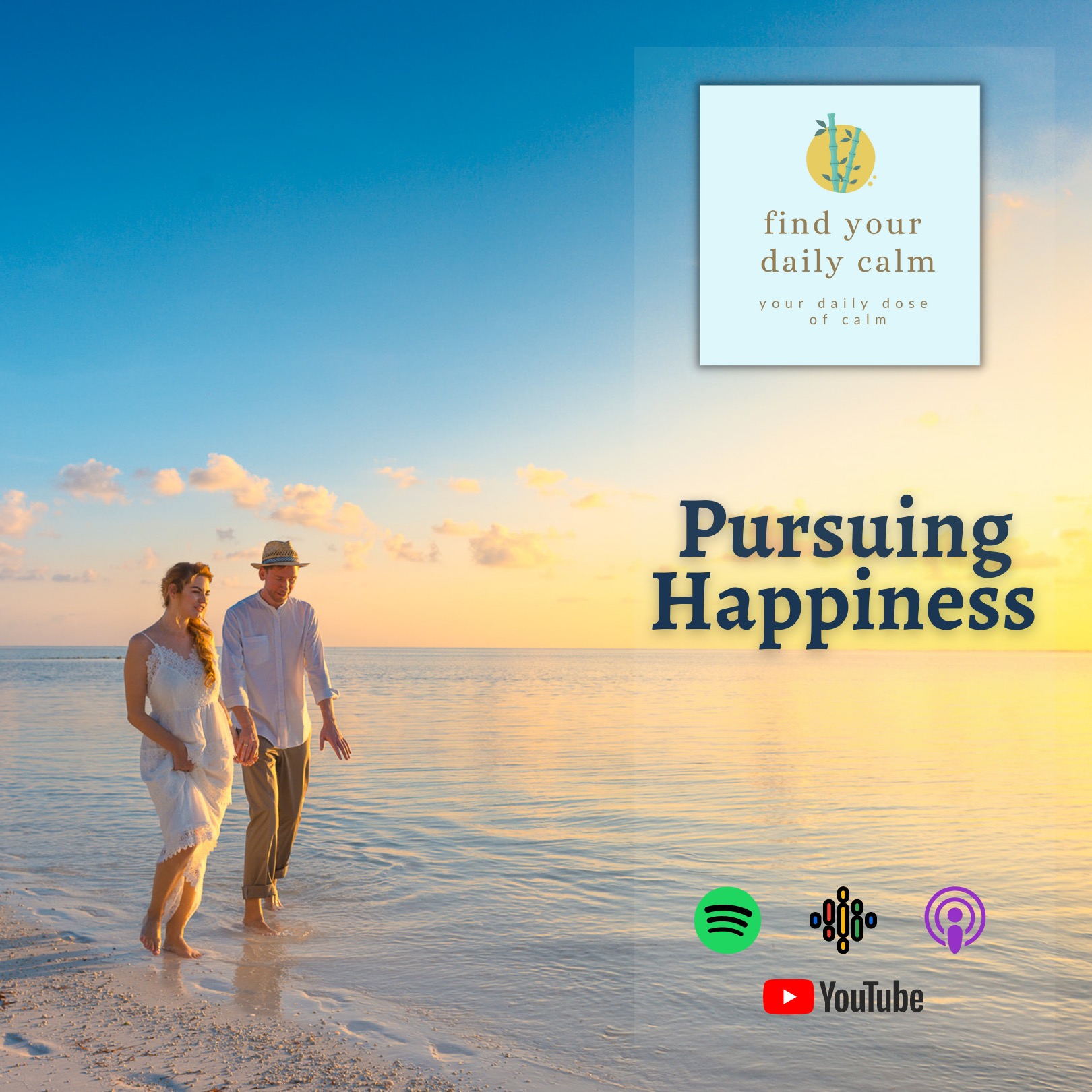 Pursuing Happiness