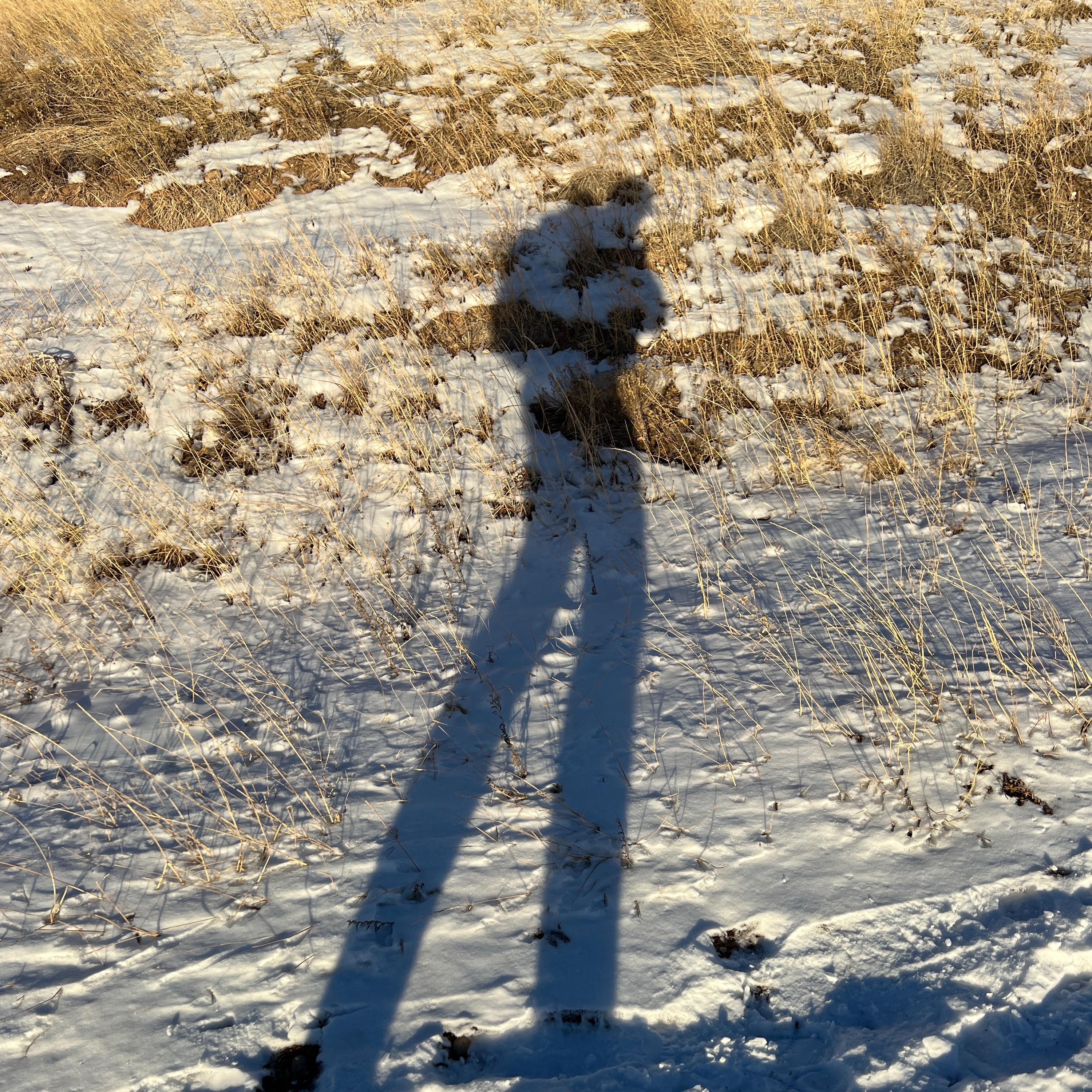 163.  ARB | Hunting, Mental Fortitude, and Helping New Hunters