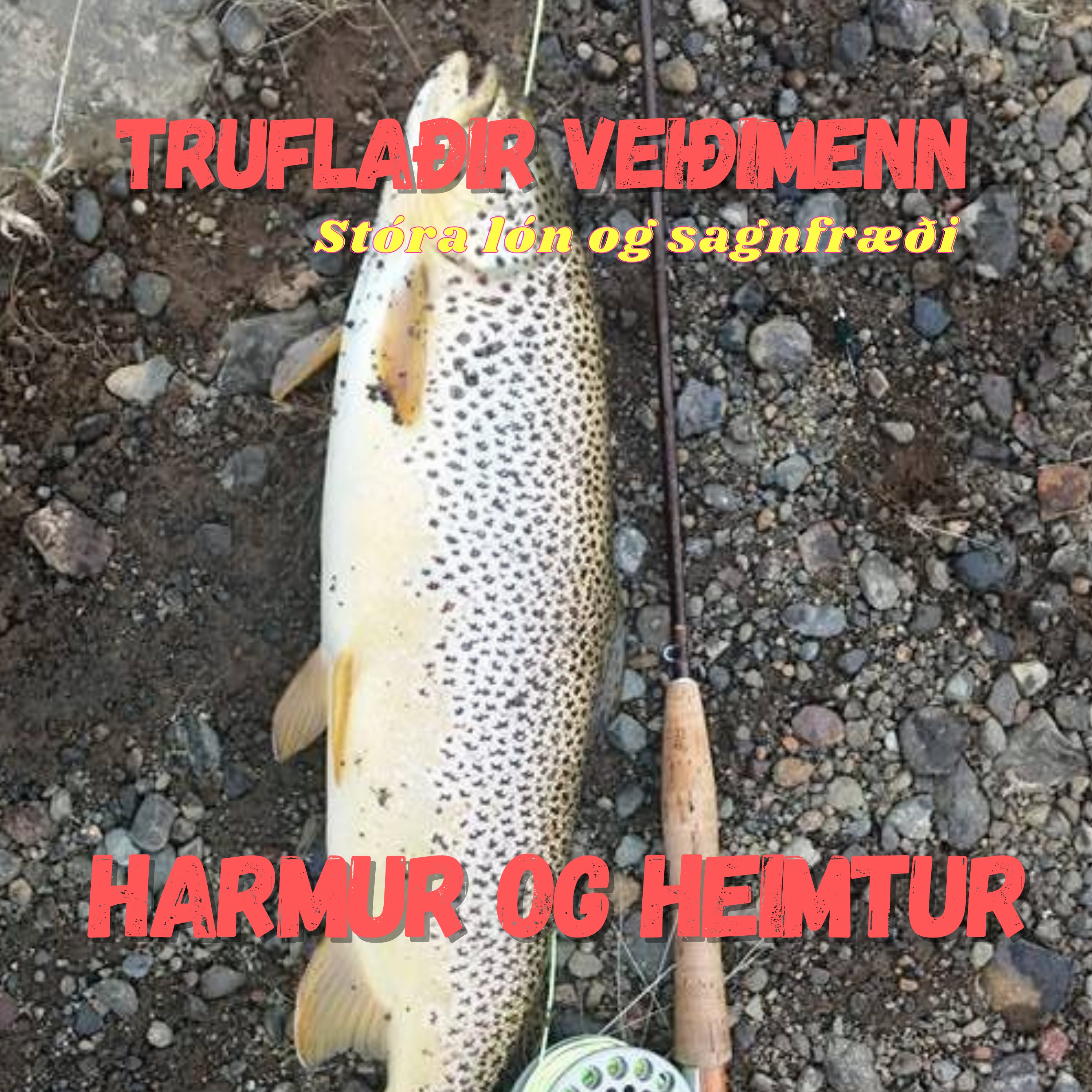 Dagbók urriða - Truflaðir veiðimenn - Áskrift.