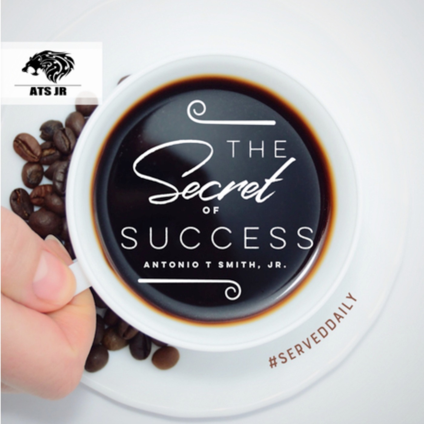 "The Art Of Web Development" Top Secret Meeting 09/02/2021 episode artwork