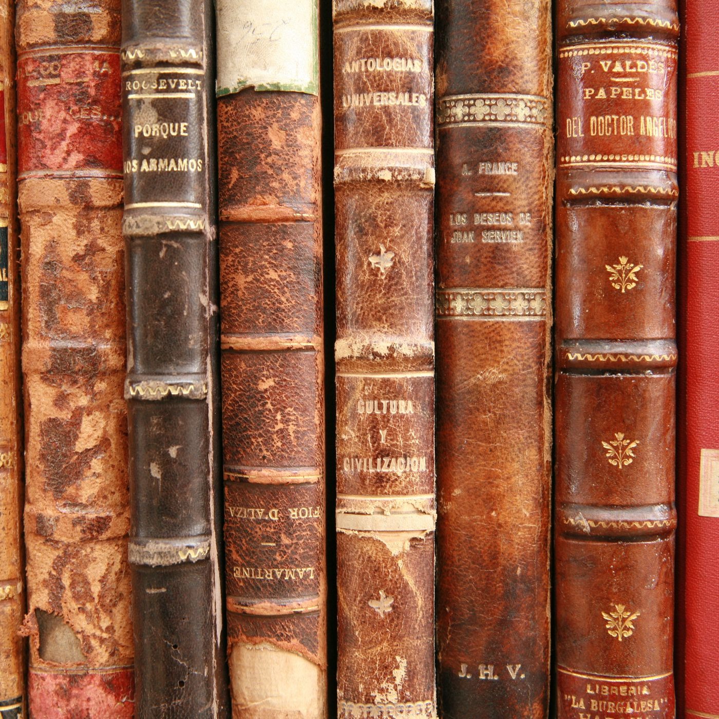 EtymologyRules