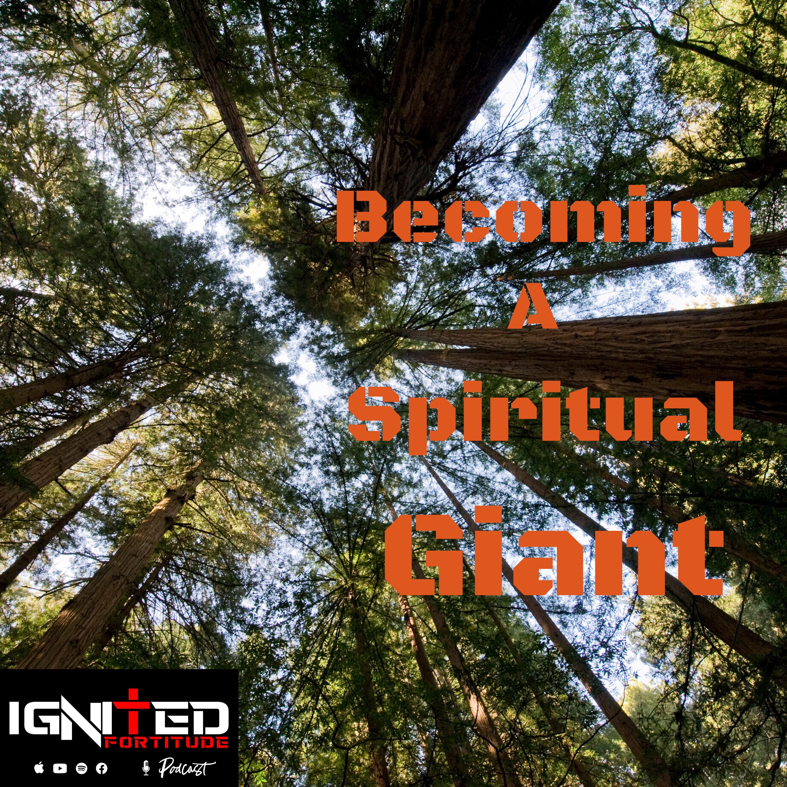 Ignited Fortitude