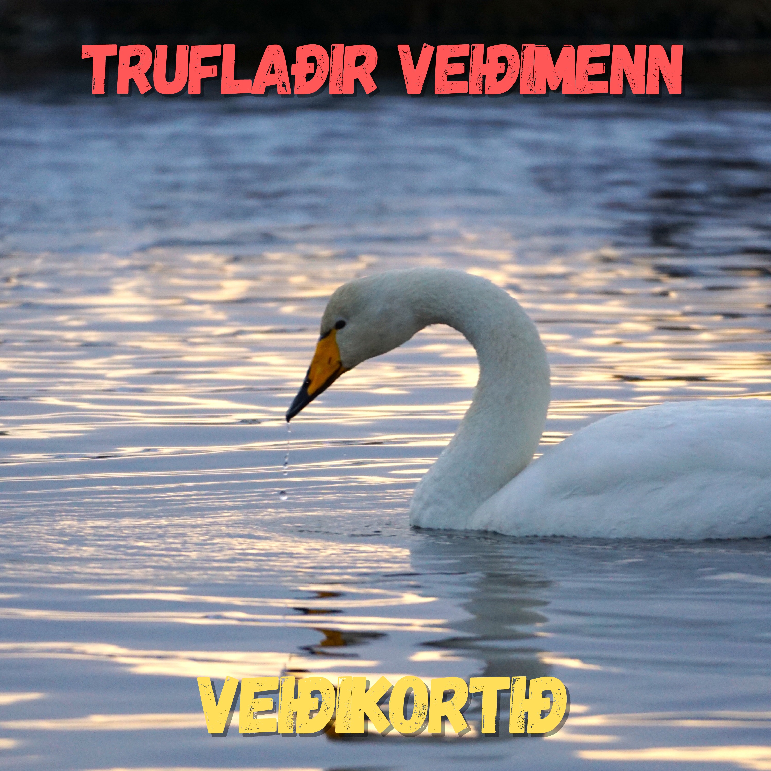 Dagbók urriða - Truflaðir veiðimenn - Áskrift.