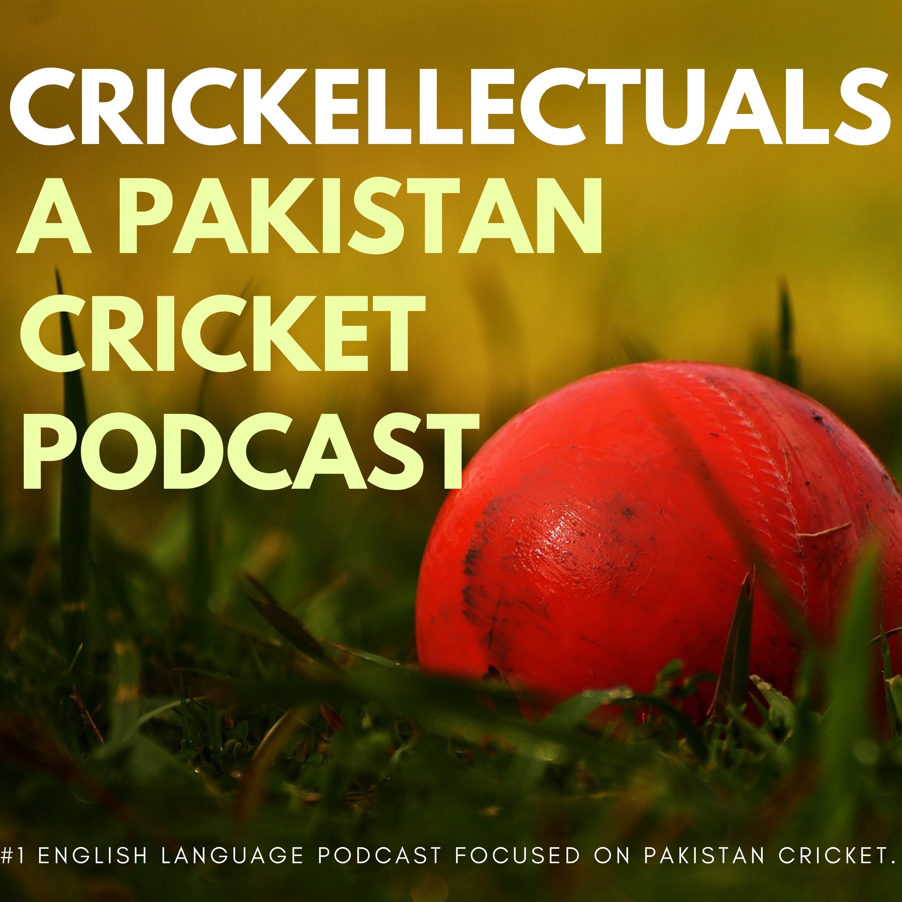 Ep.20: PSL Points Table, Karachi King's Struggle Continues in PSL7, and Afridi Retires?