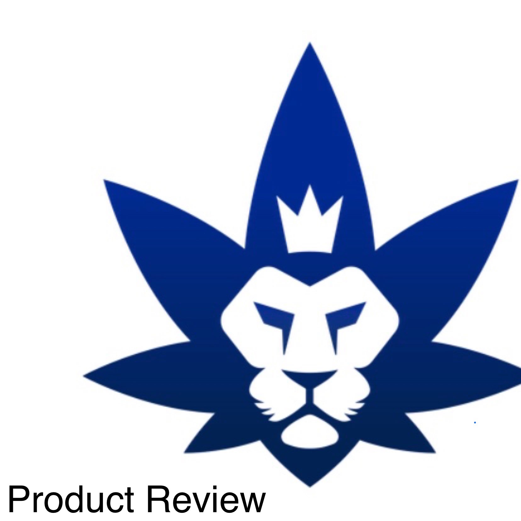 Product Review