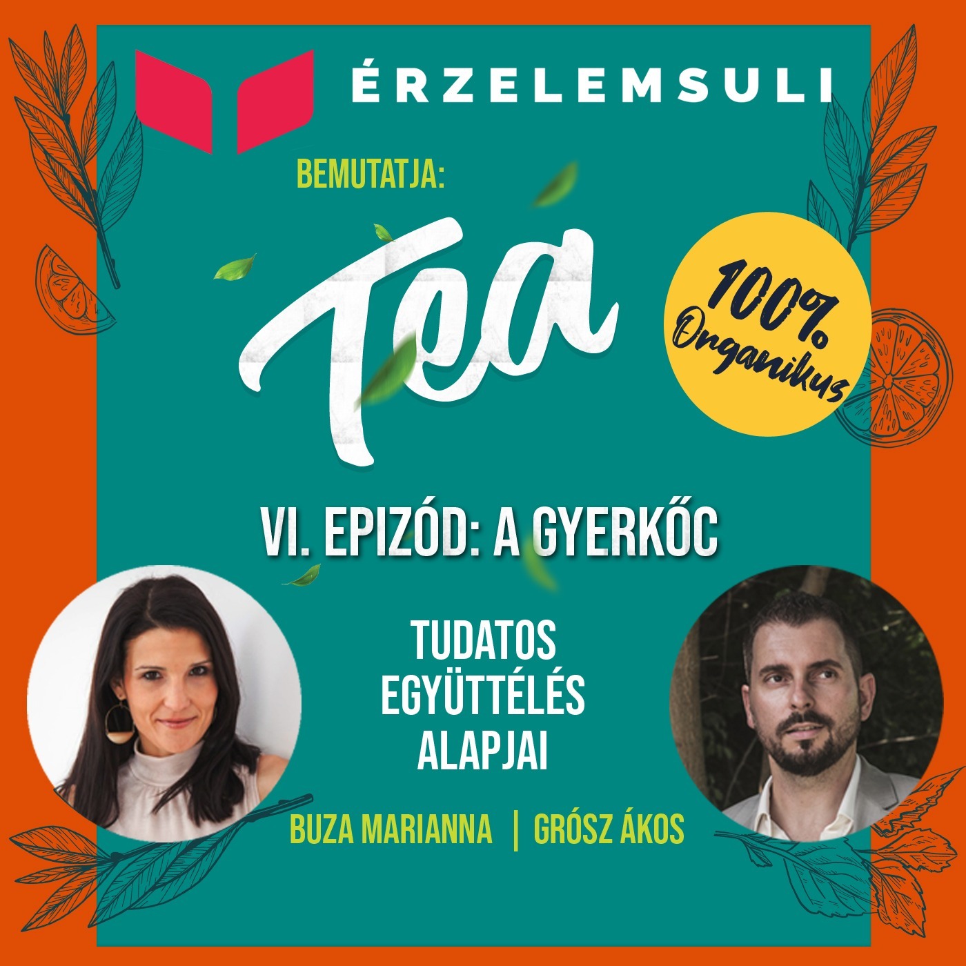 TEA 6. epizód: A Gyerkőc episode artwork