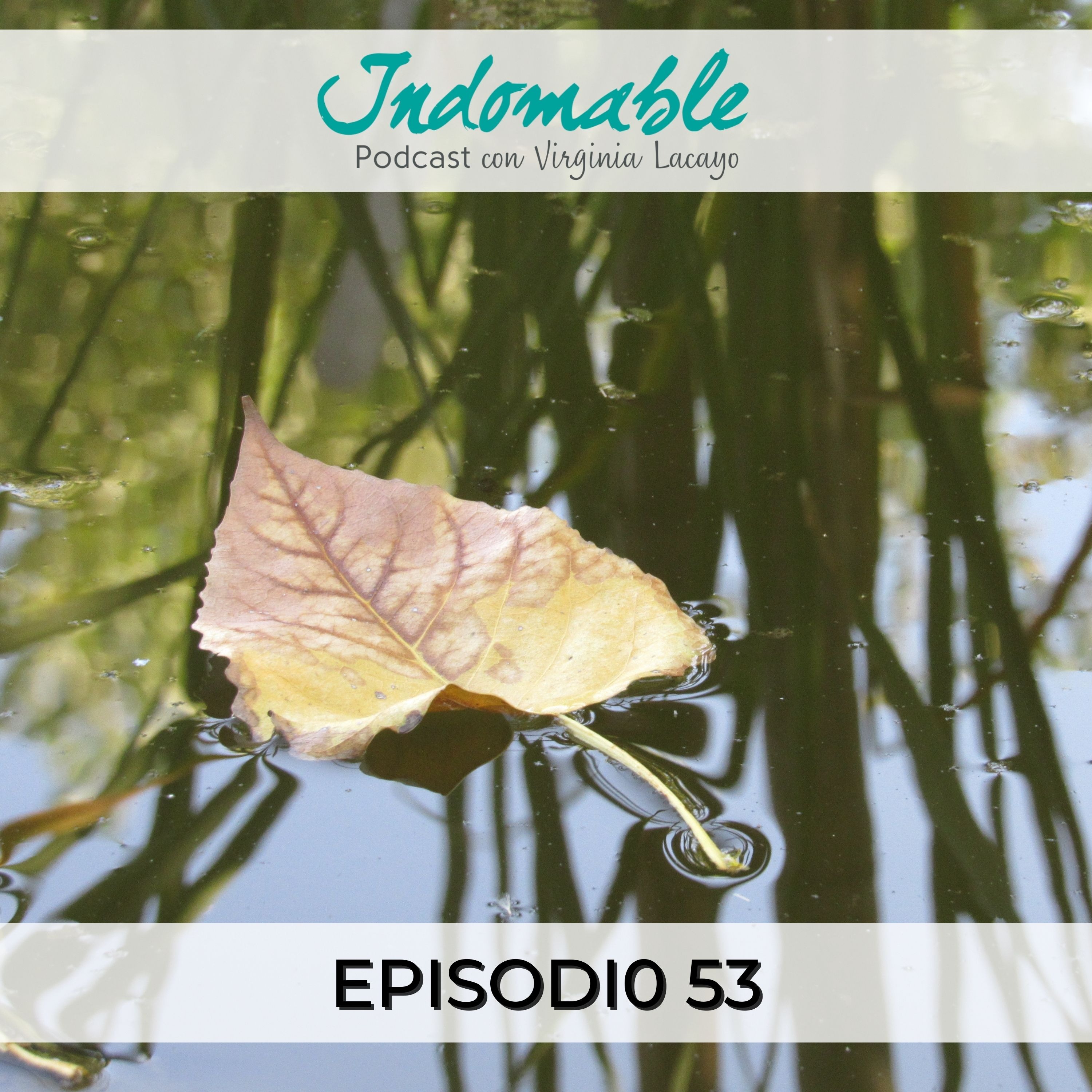 Indomable - Podcast con Virginia Lacayo