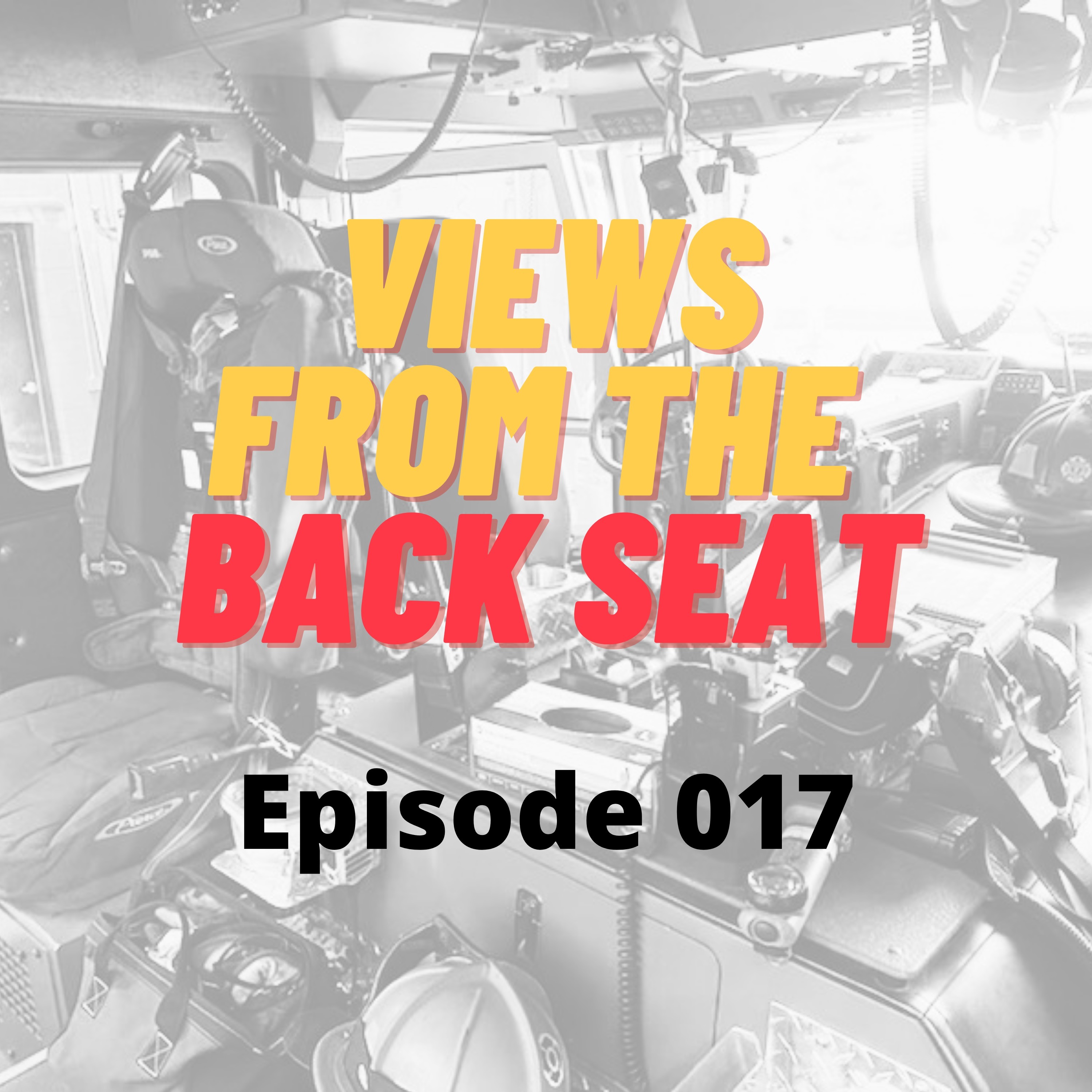 Views From The Back Seat