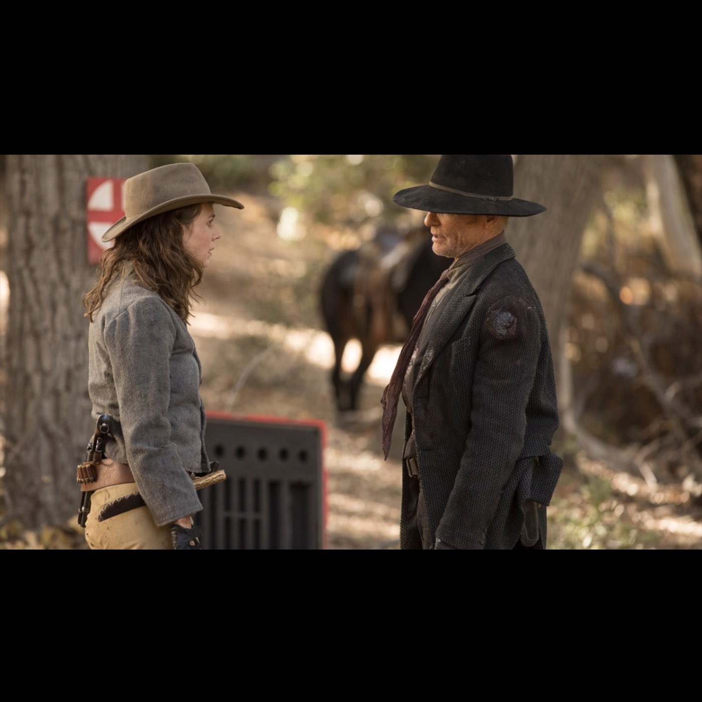 Westworld \'Cast