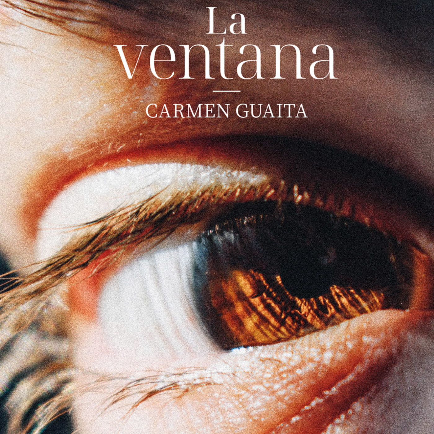 La ventana-La novela de Carmen Guaita es un canto a la labor del maestro y a las humanidades episode artwork