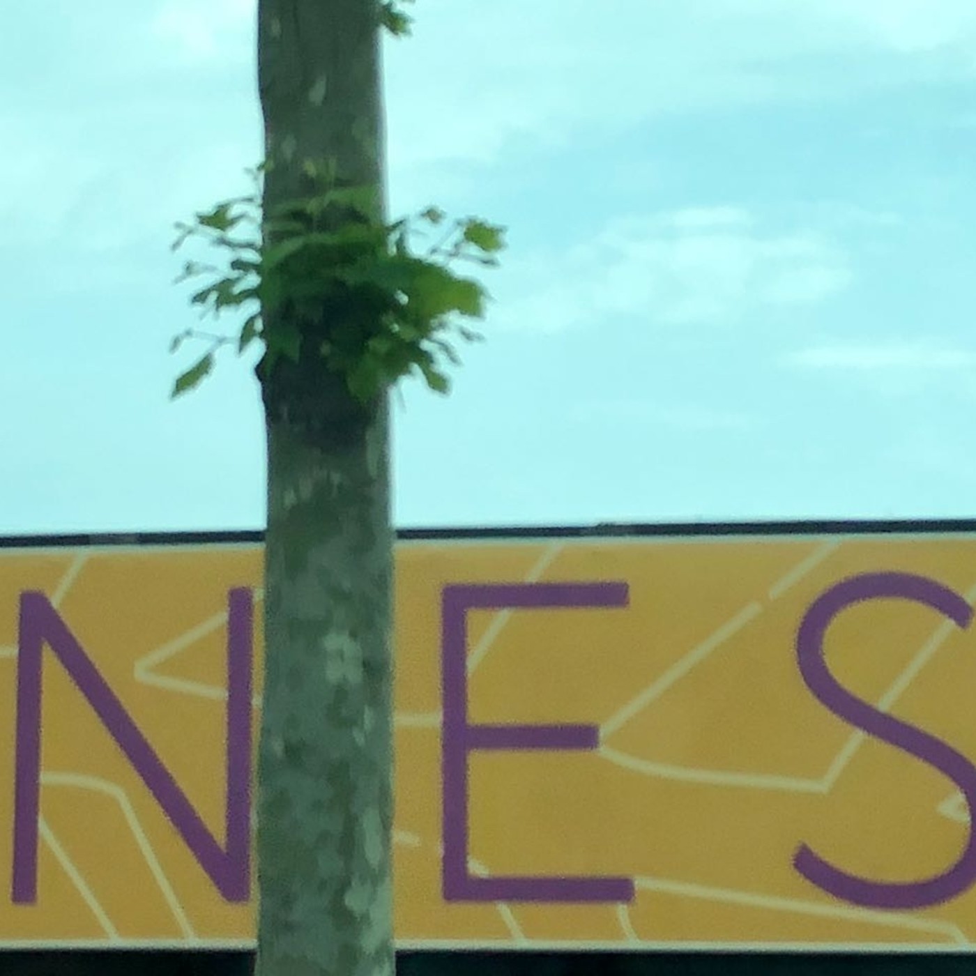 Cannes 2018 (III): Gana el cine - Episodio exclusivo para mecenas episode artwork