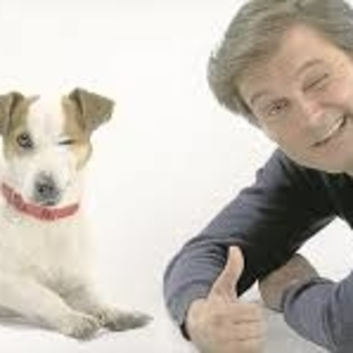 Enganchados TV-Sabuesos-Intriga para toda la familia - Episodio exclusivo para mecenas episode artwork