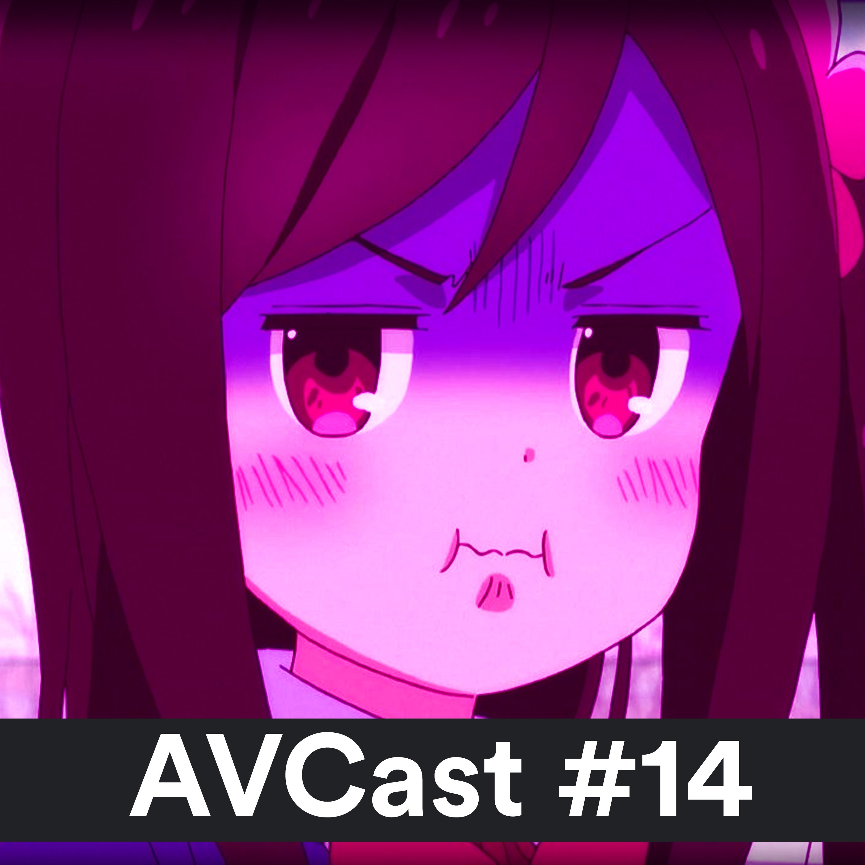 AniVacilo Cast