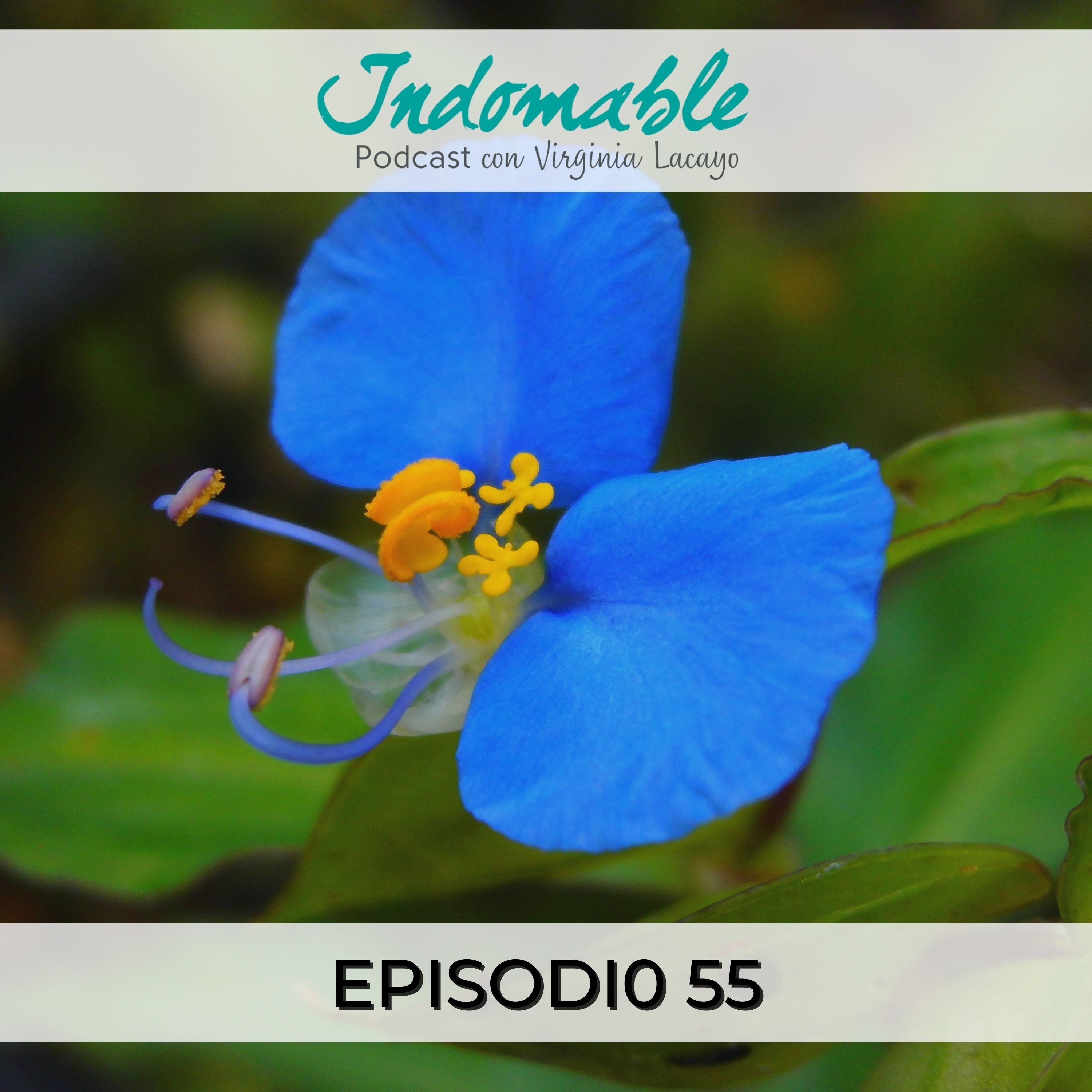 Indomable - Podcast con Virginia Lacayo