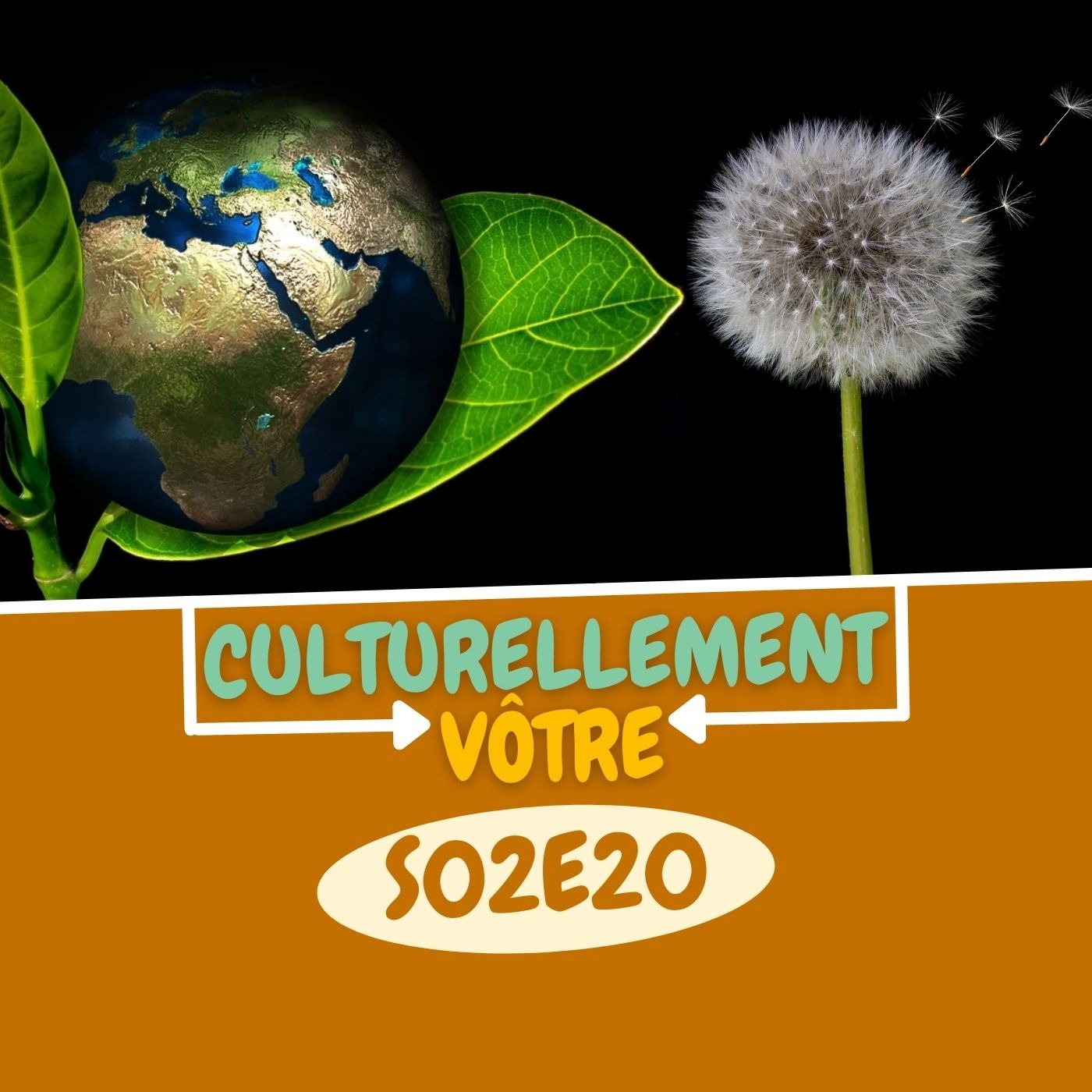 S02E20 Le greenwashing et le pissenlit S02E20 Le greenwashing et le pissenlit