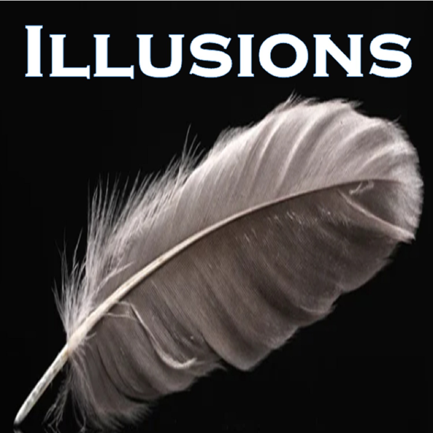 Illusions