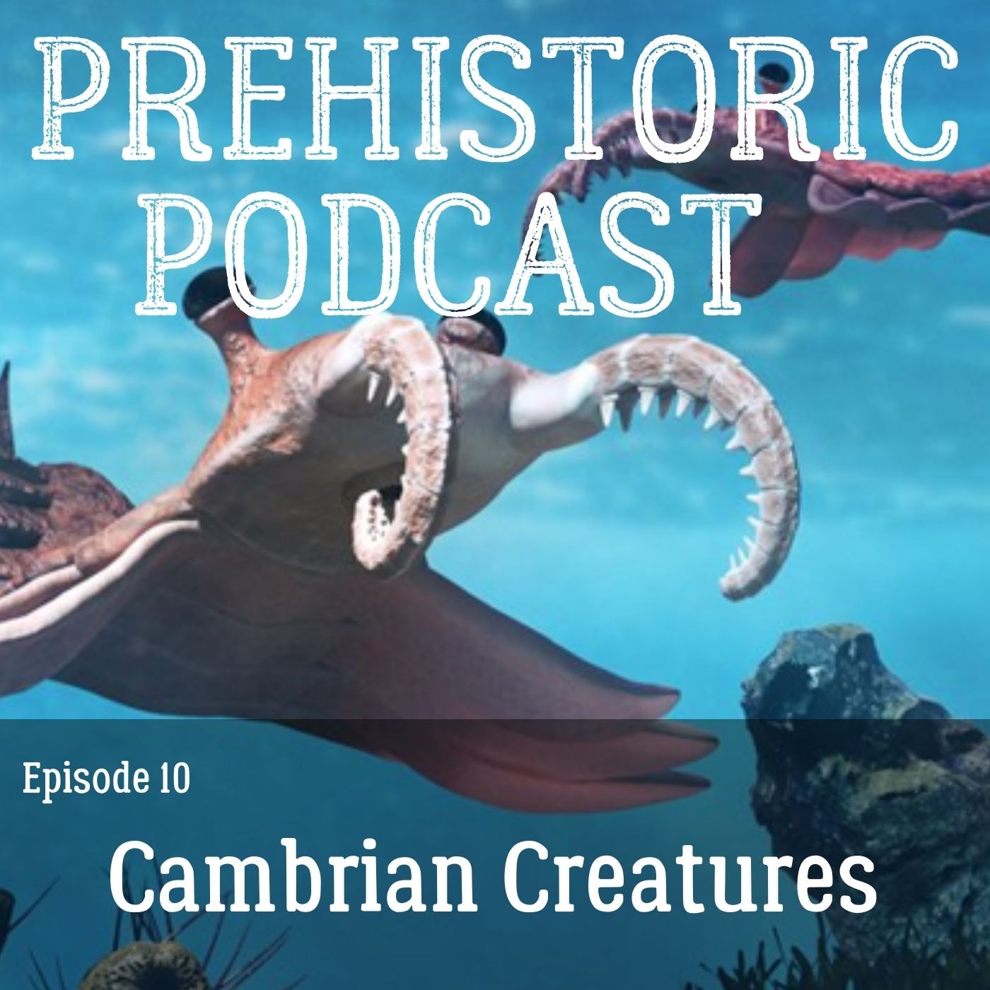 Ep 10 -Cambrian Explosion and Cambrian Creatures episode artwork