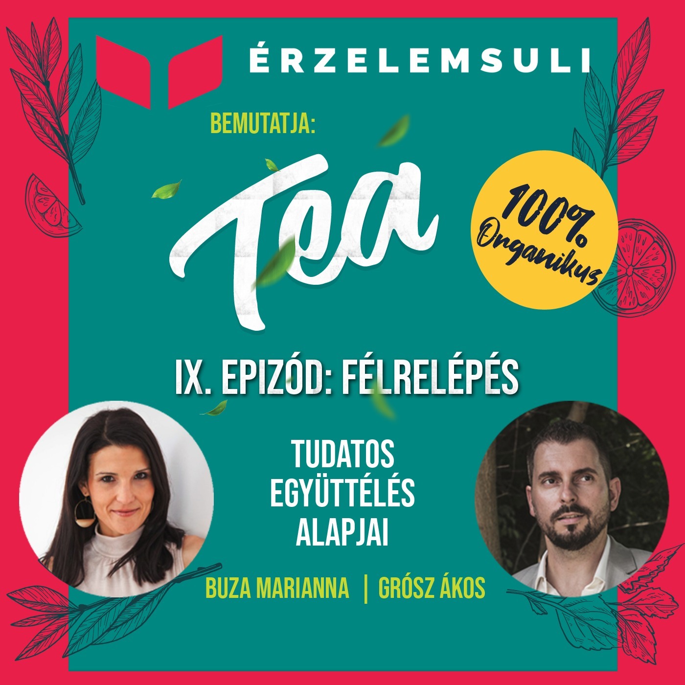 TEA 9. epizód: Félrelépés episode artwork