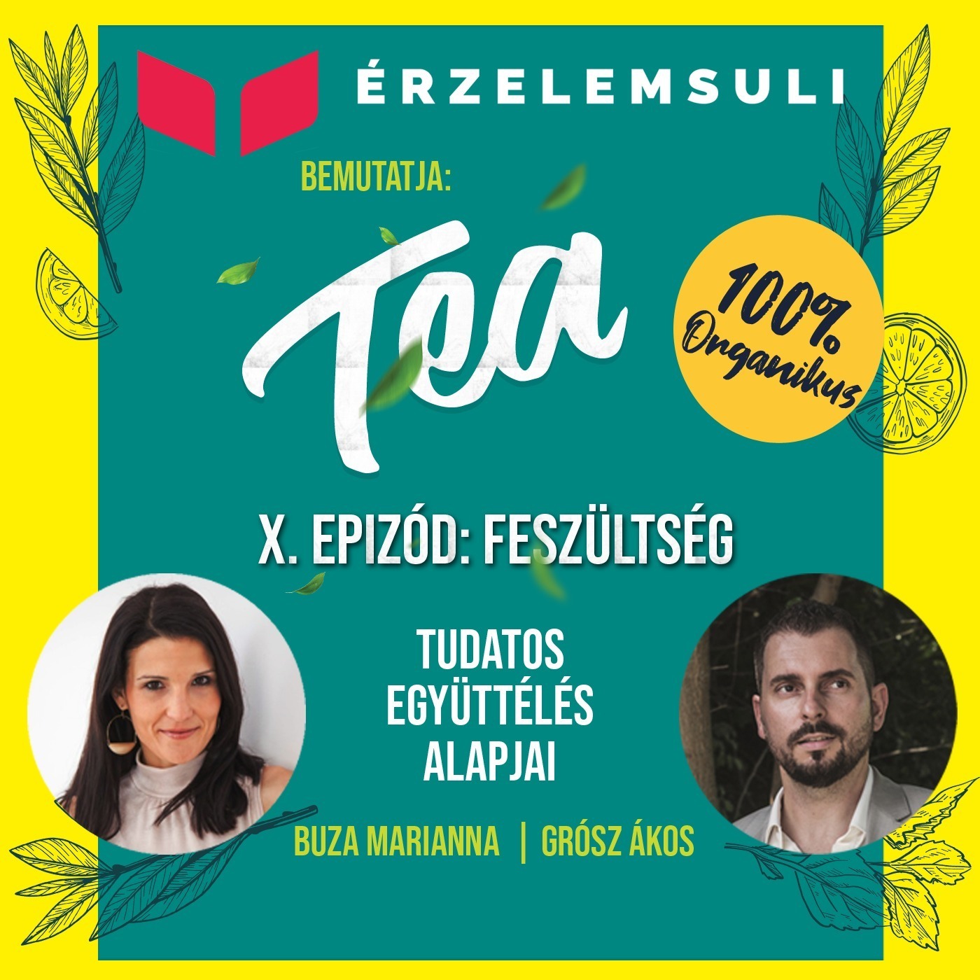 TEA 10. epizód: Feszültség episode artwork