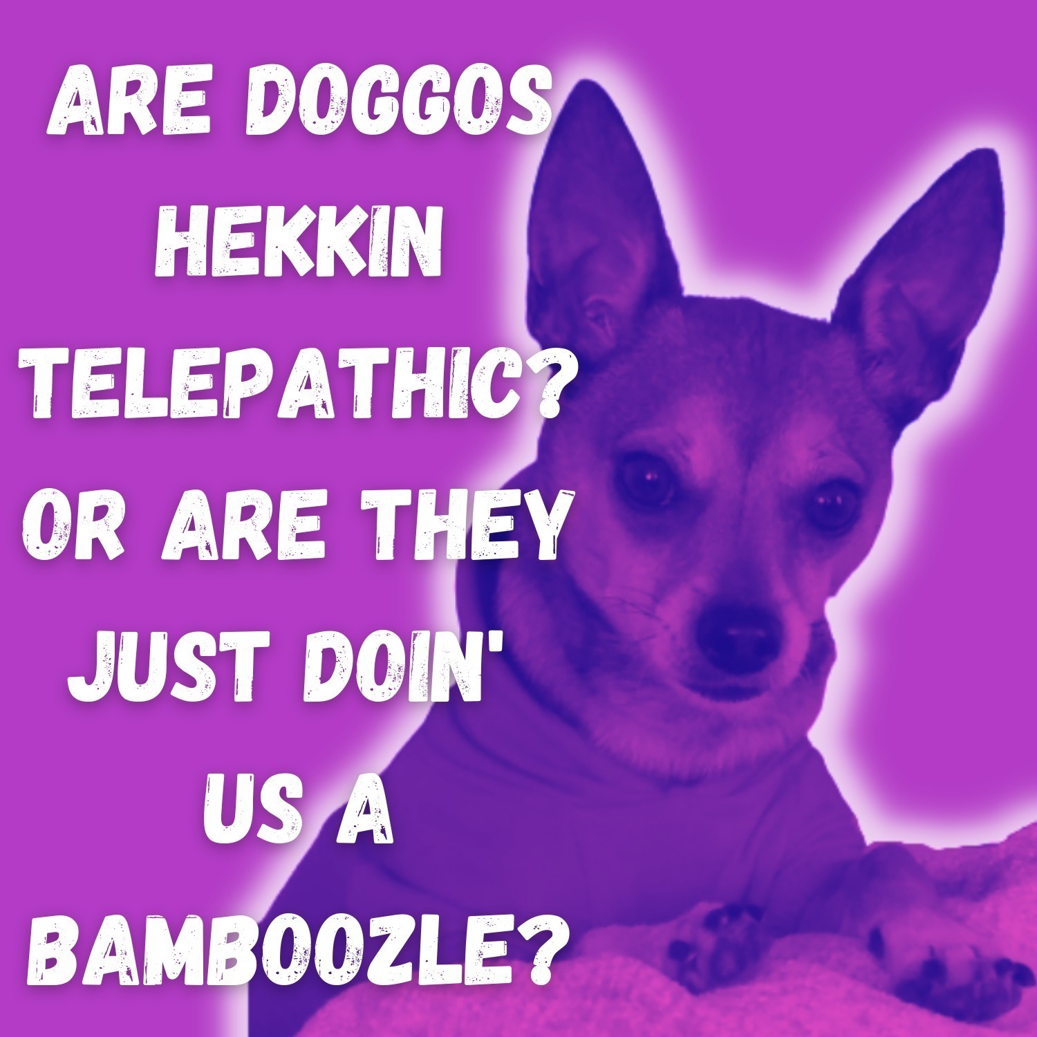 Mystagoggle