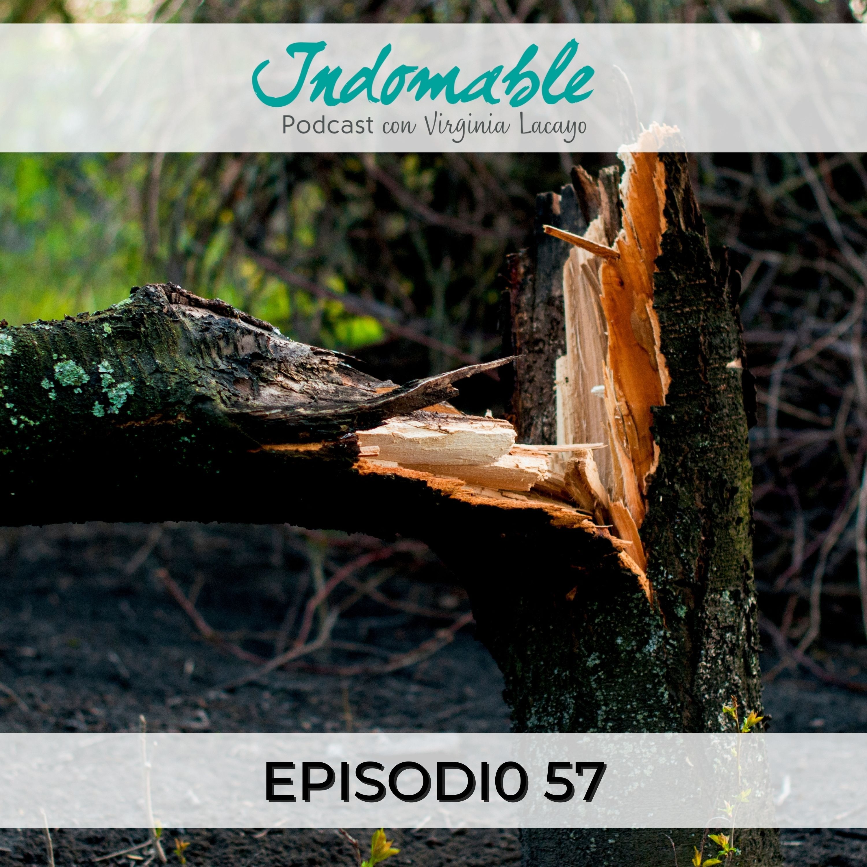 Indomable - Podcast con Virginia Lacayo