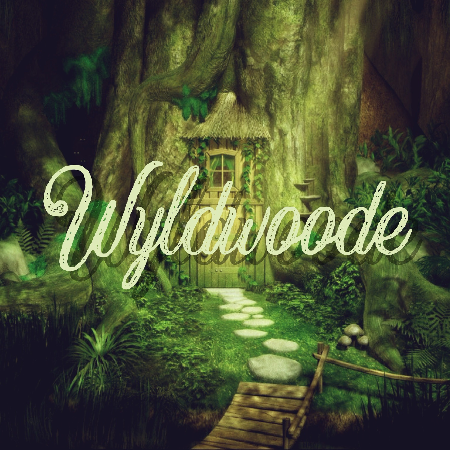 Audio Player Image