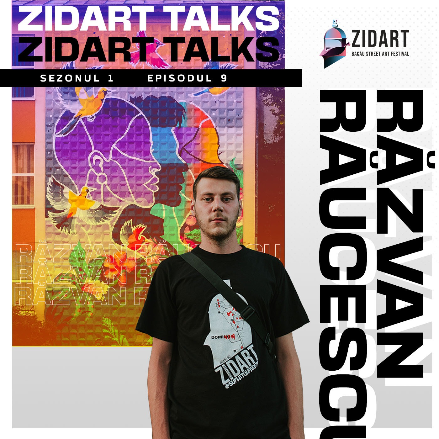 ZIDART - TALKS - Sezonul 1
