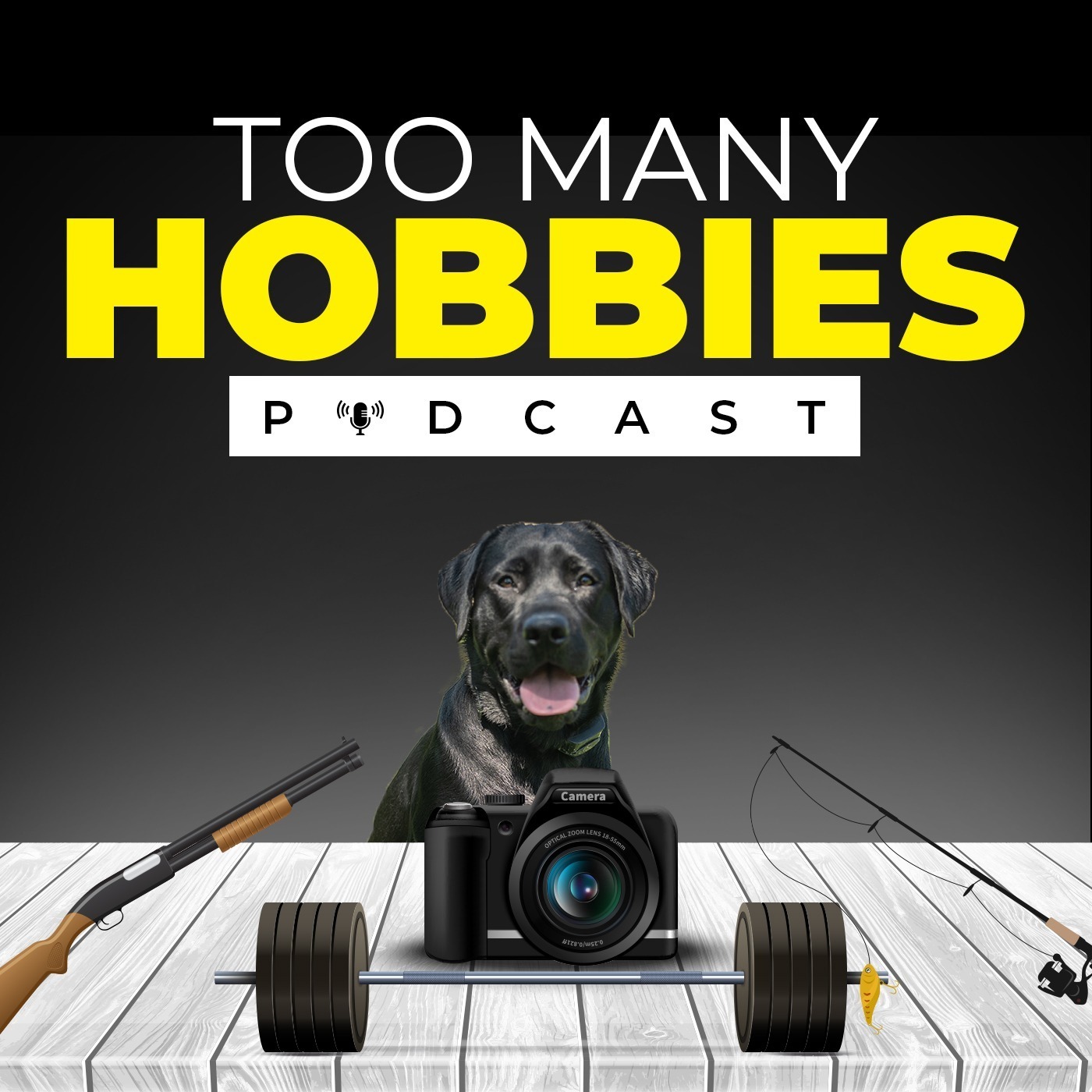 Too Many Hobbies