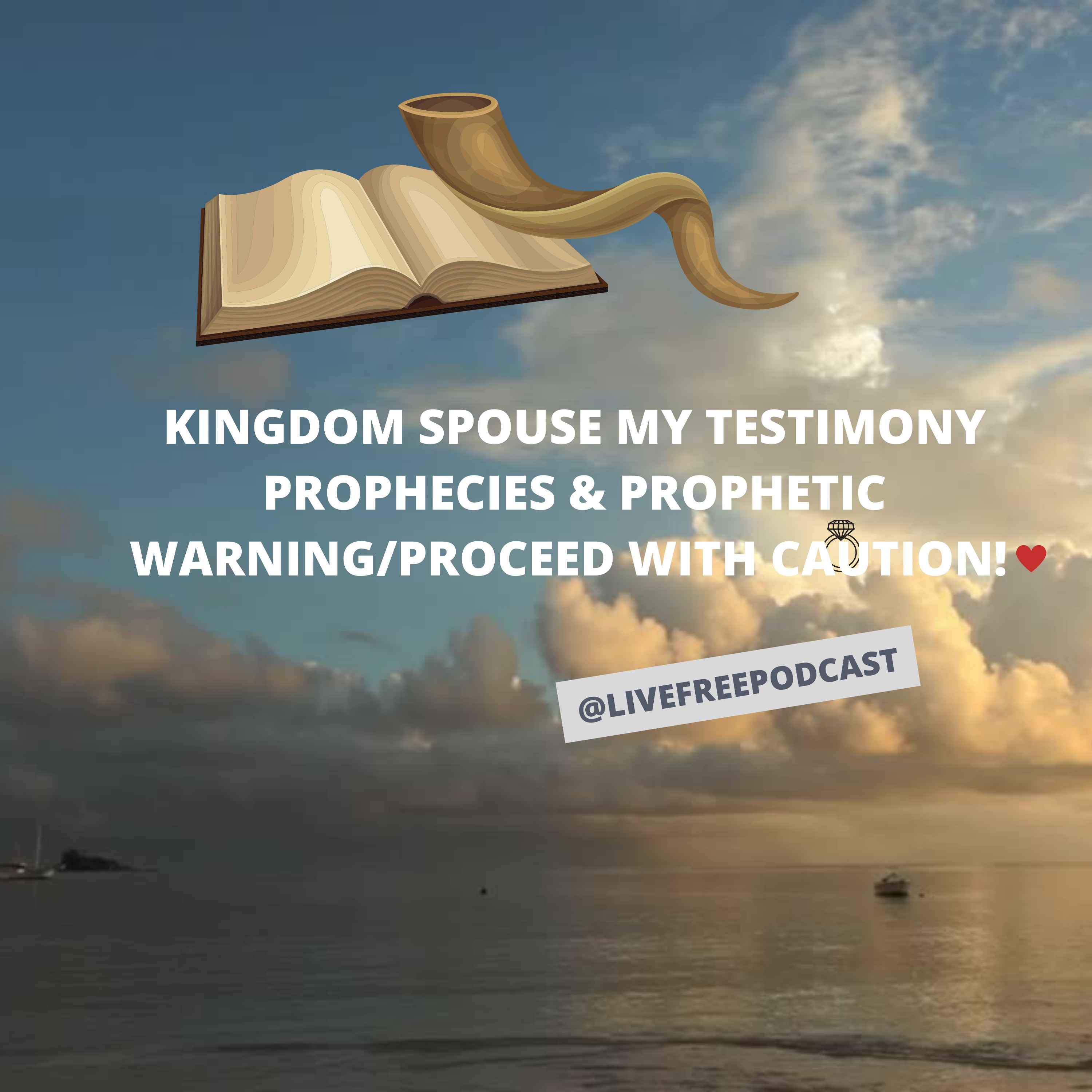 Kingdom Spouse? Prophetic Warning/My Testimony/Proceed With Caution!