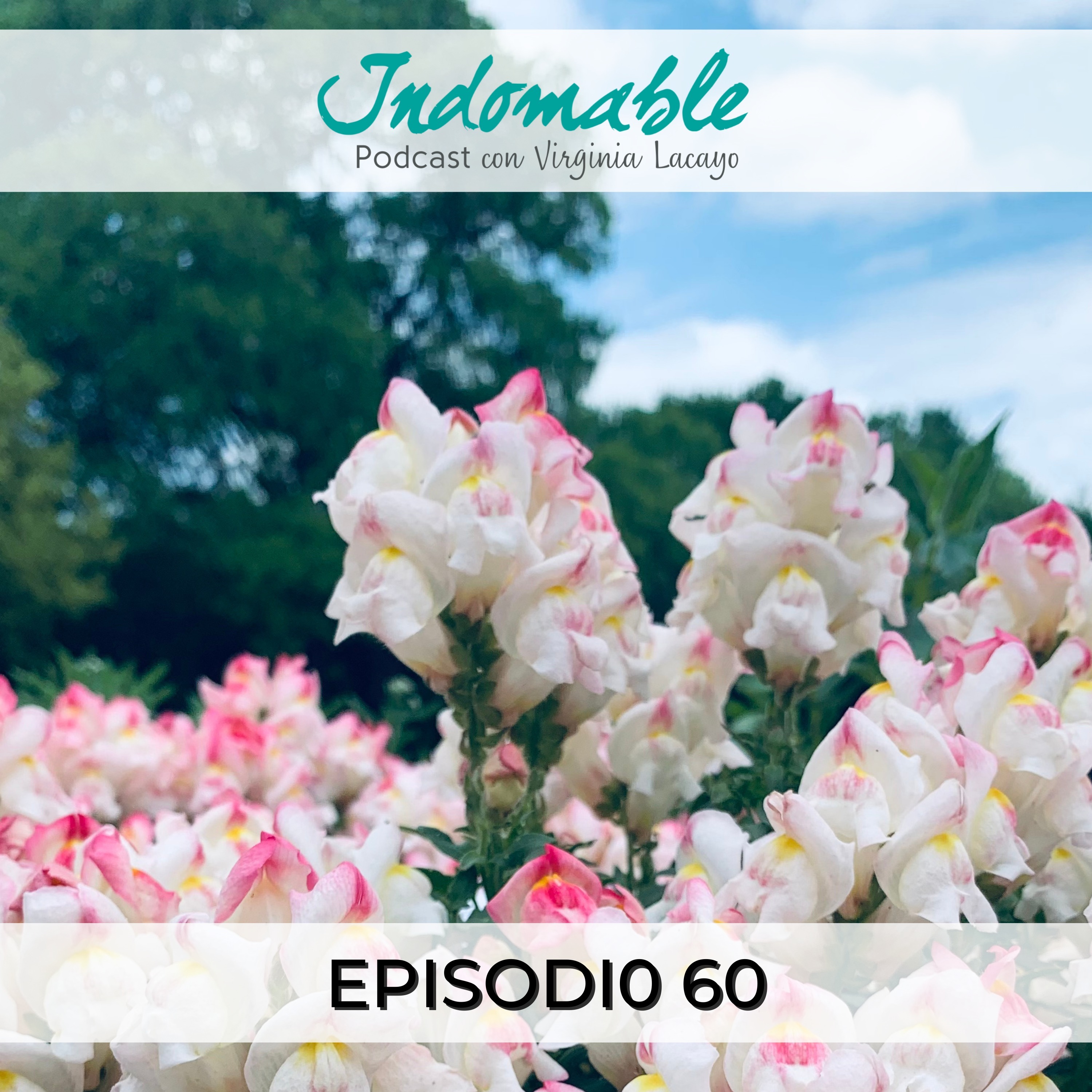 Indomable - Podcast con Virginia Lacayo